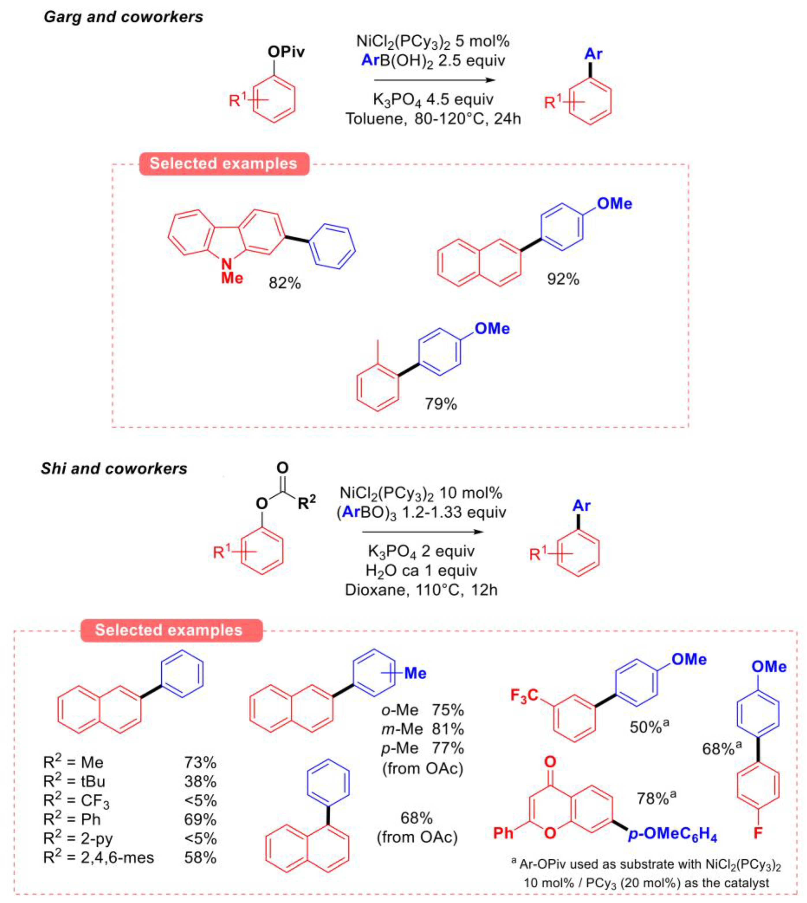 Molecules 30 00051 g004