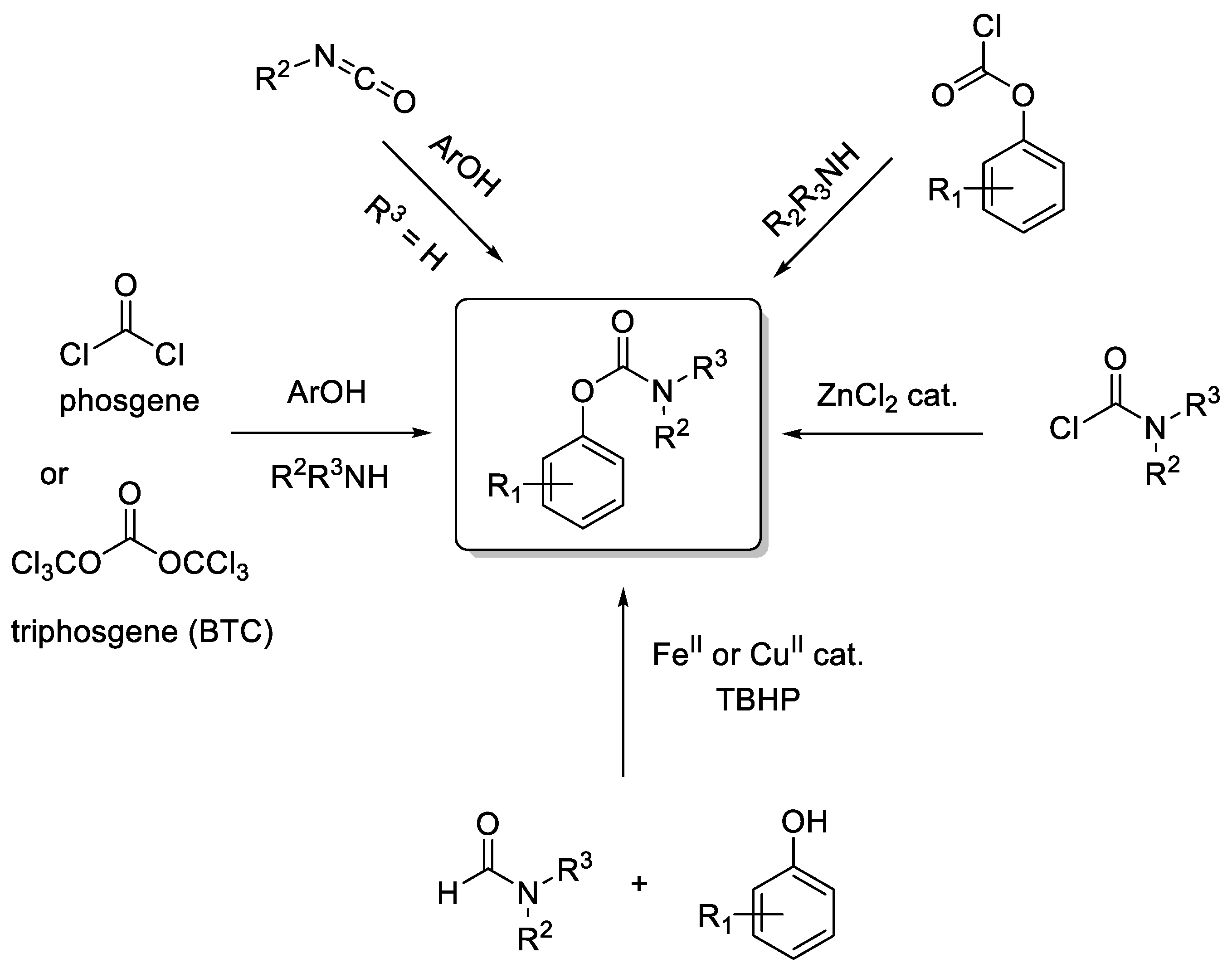 Molecules 30 00051 g008