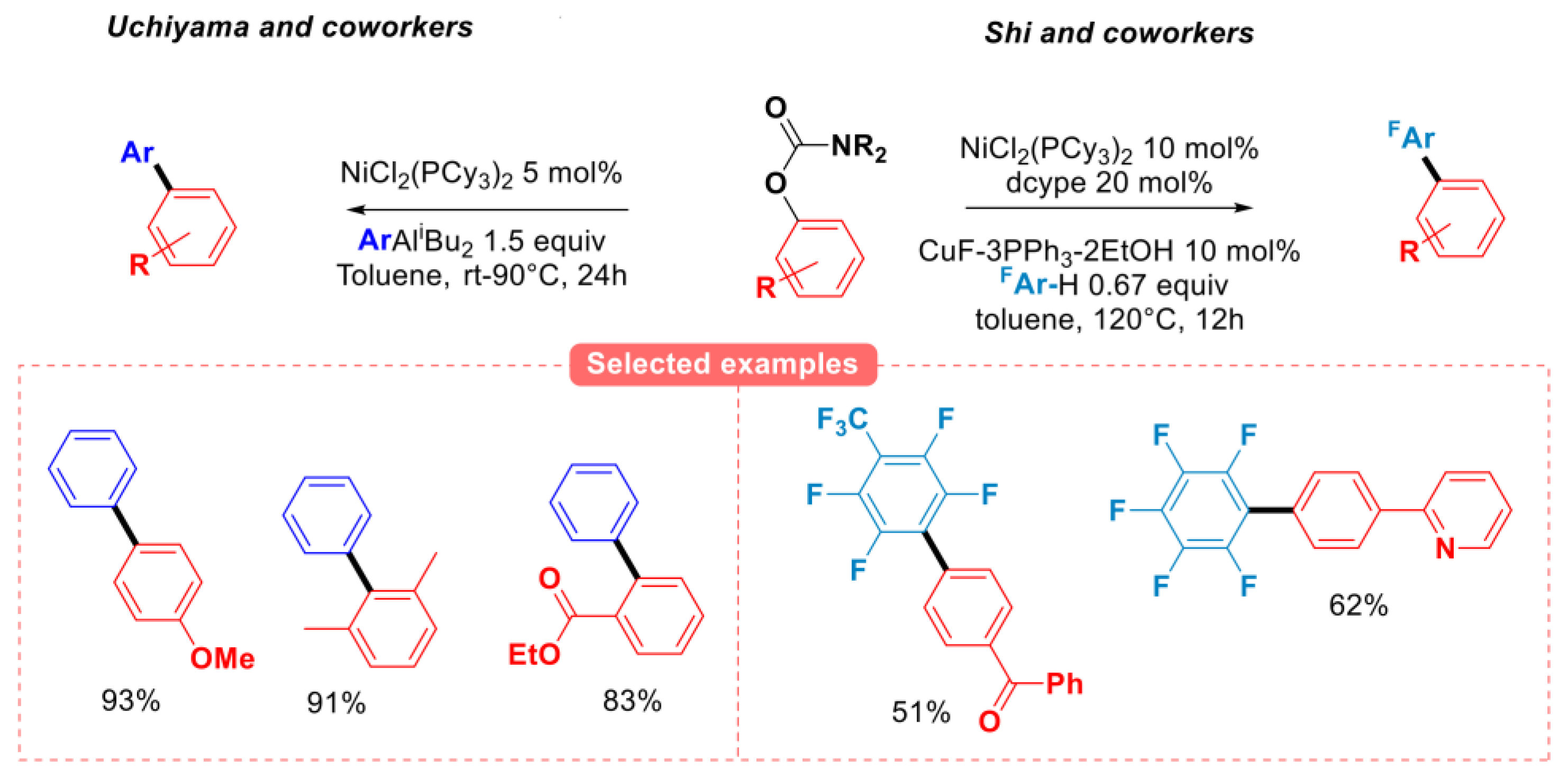 Molecules 30 00051 g011