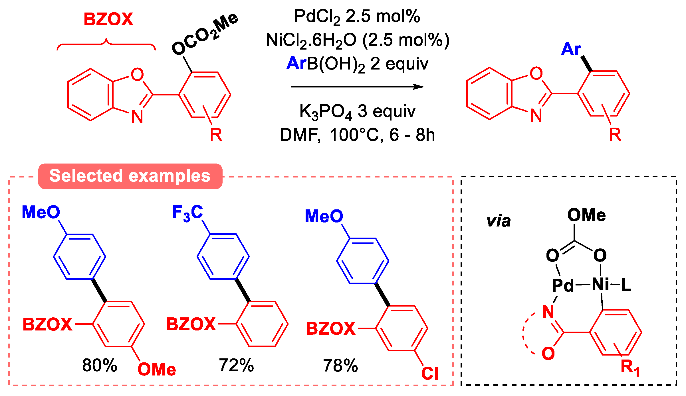 Molecules 30 00051 g013