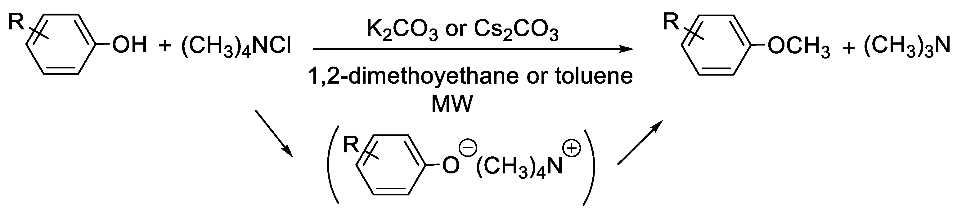 Molecules 30 00051 g016