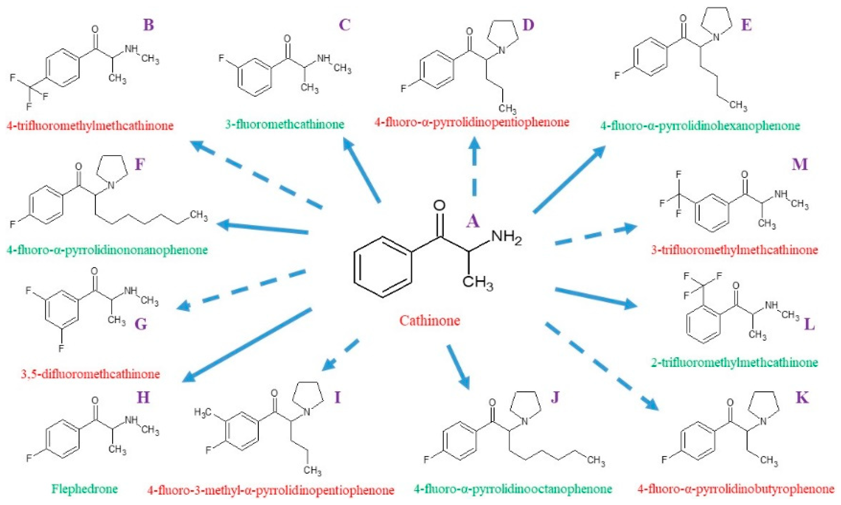 Molecules 30 00054 g001