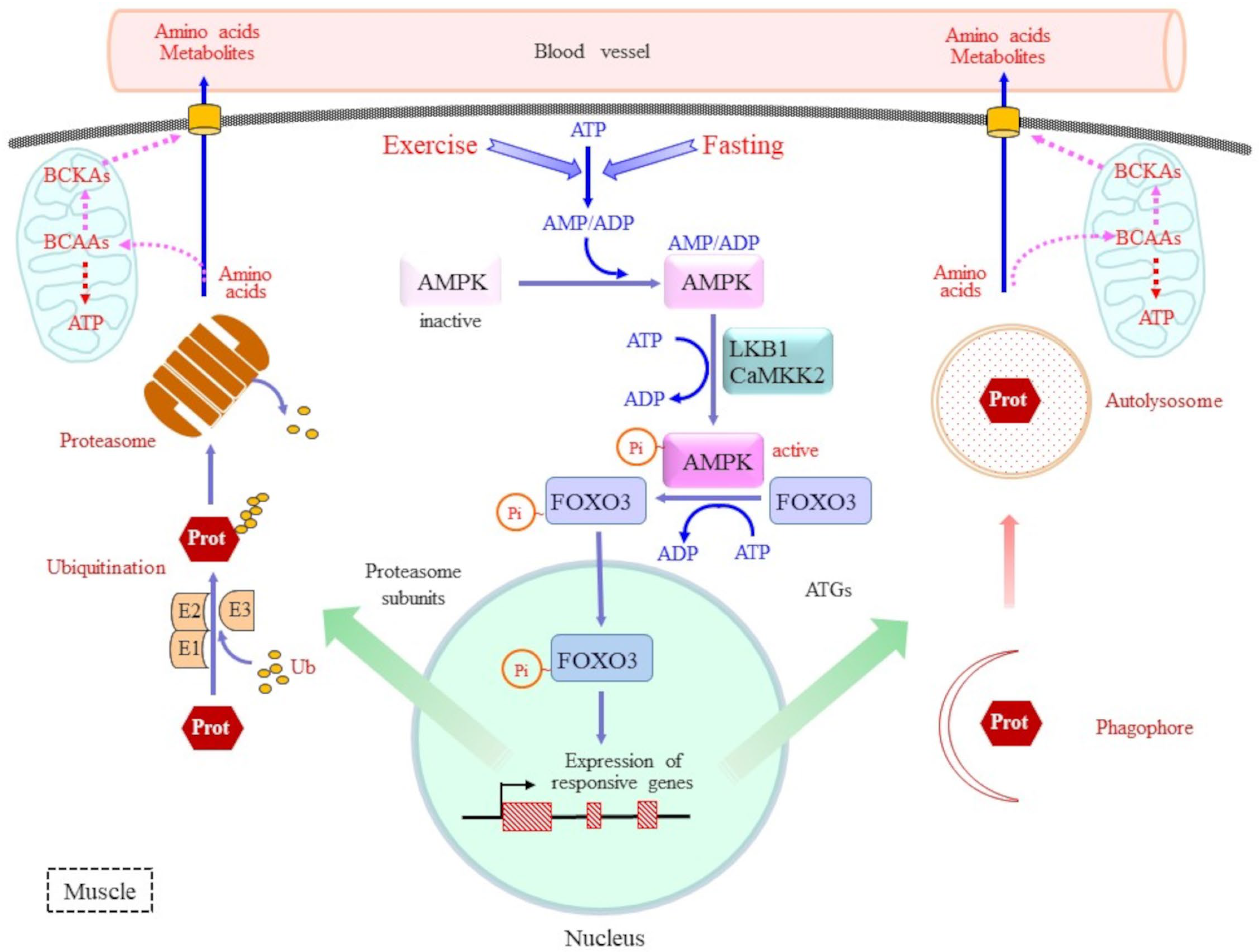 Molecules 30 00056 g003