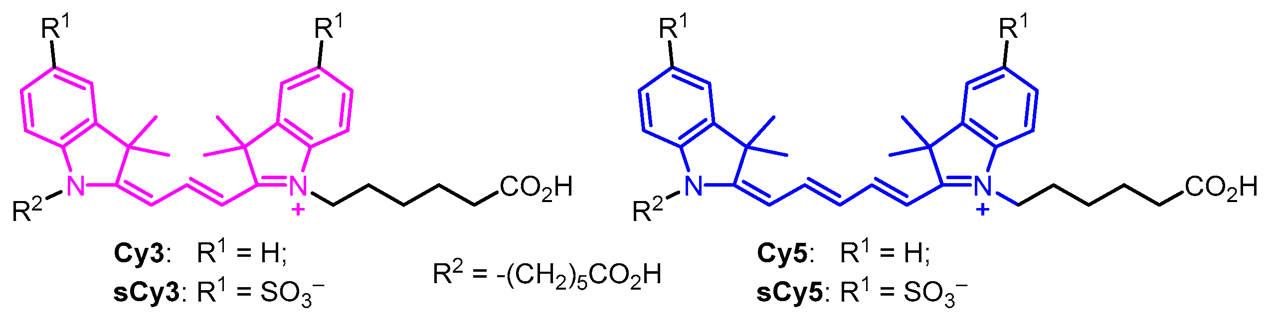 Molecules 30 00057 g001