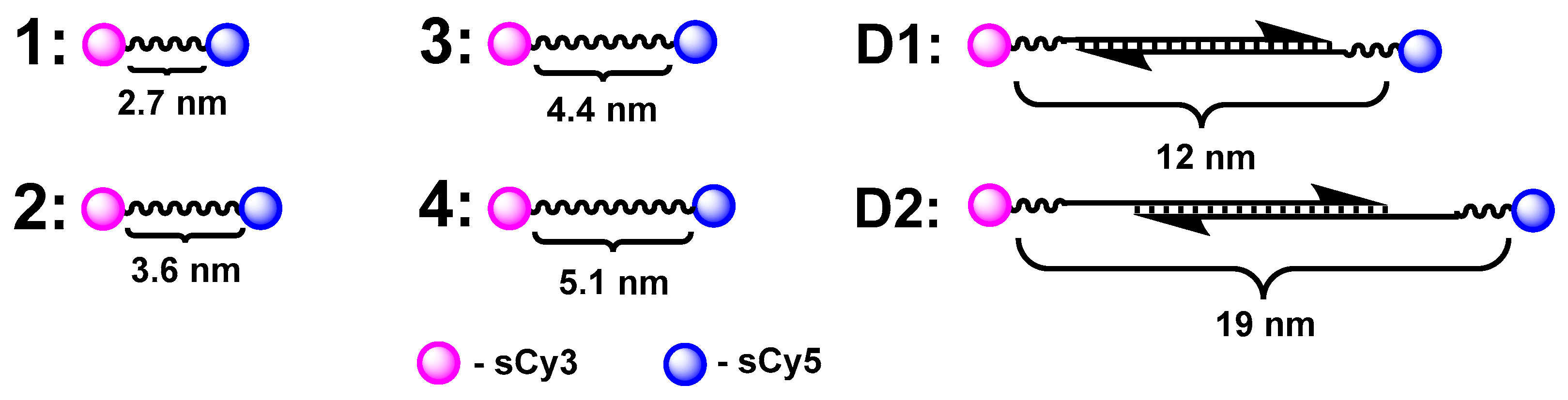 Molecules 30 00057 g003