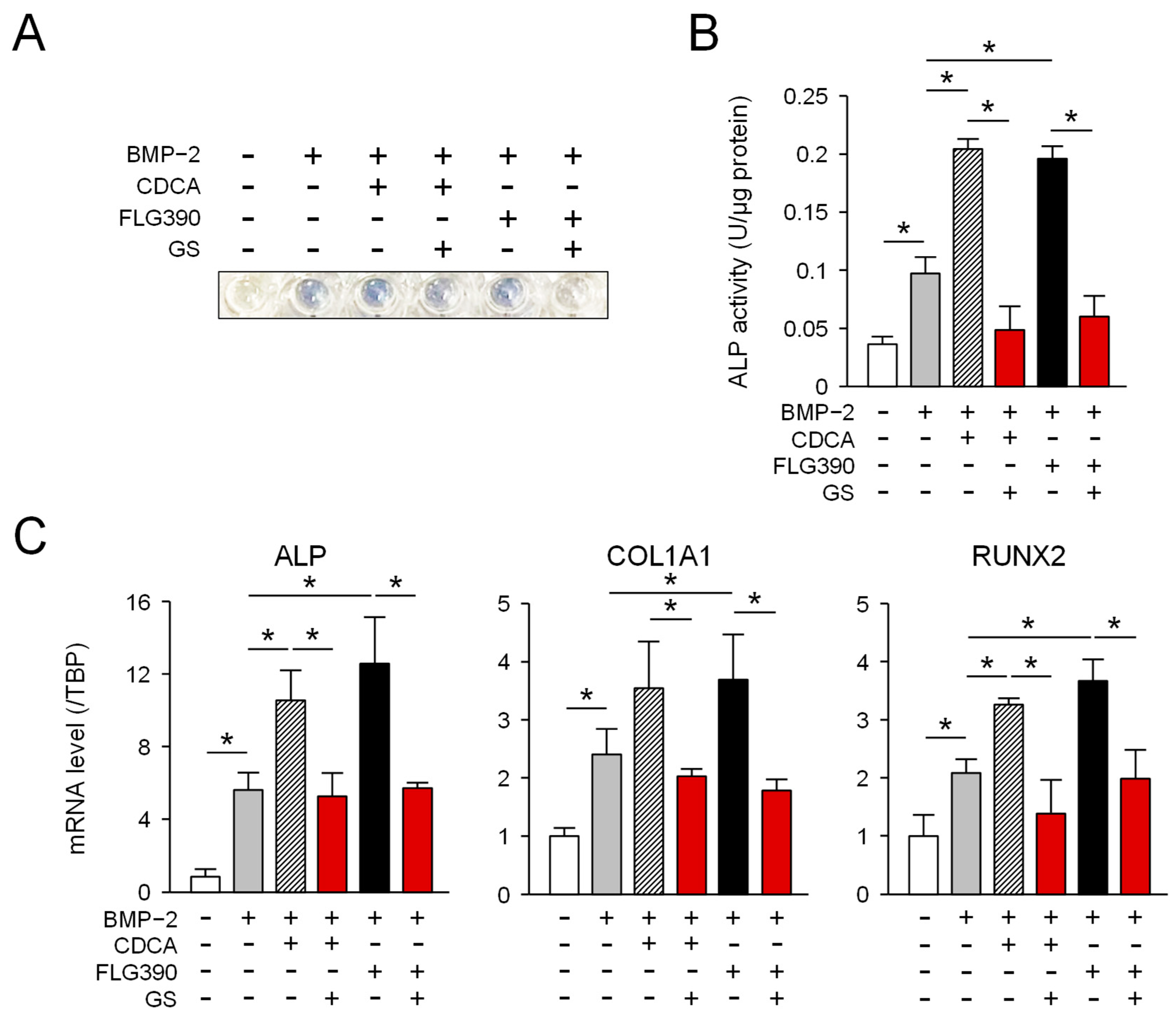 Molecules 30 00058 g003