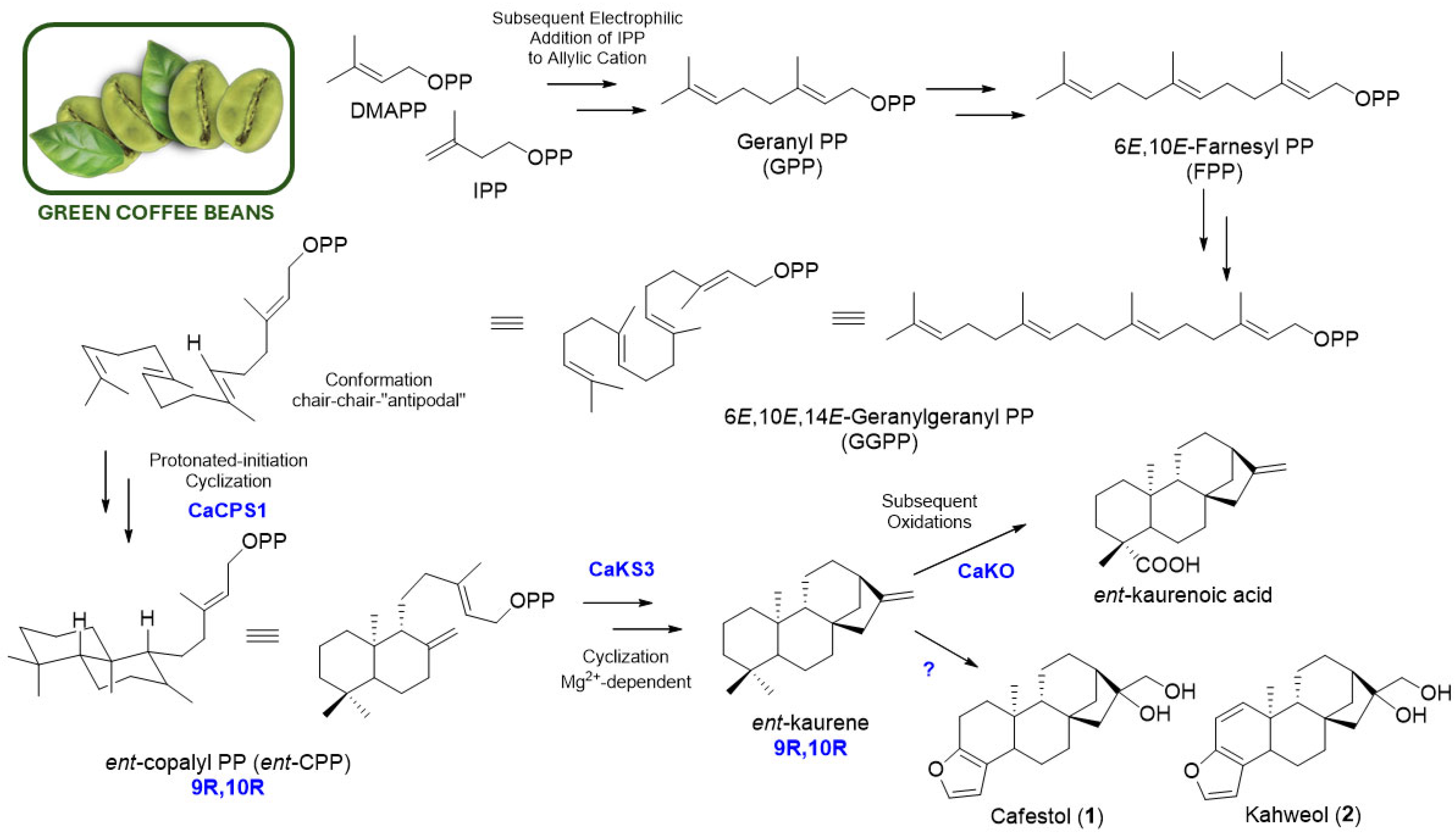 Molecules 30 00059 g002 Molecules 30 00059 g002