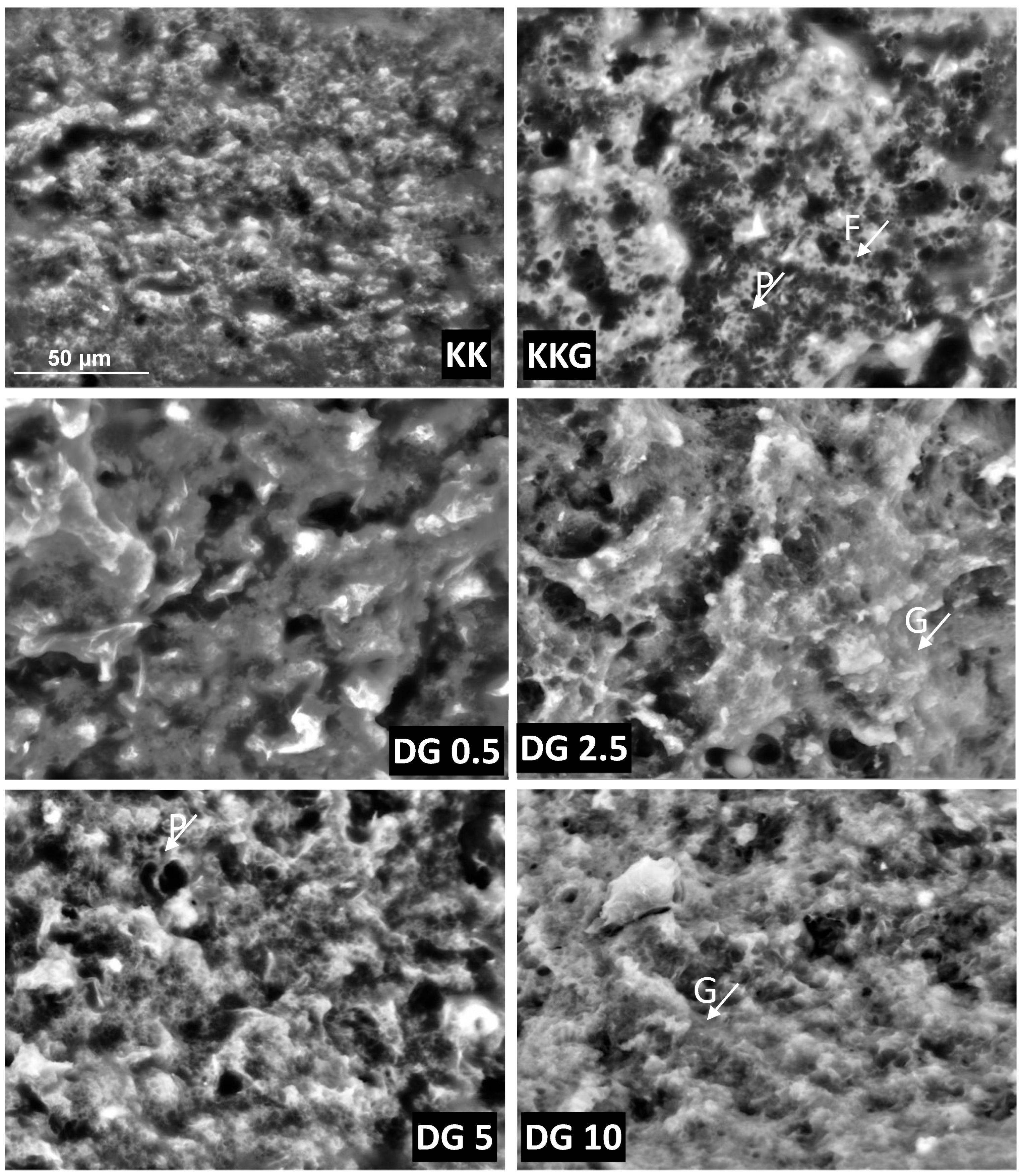 Molecules 30 00066 g001