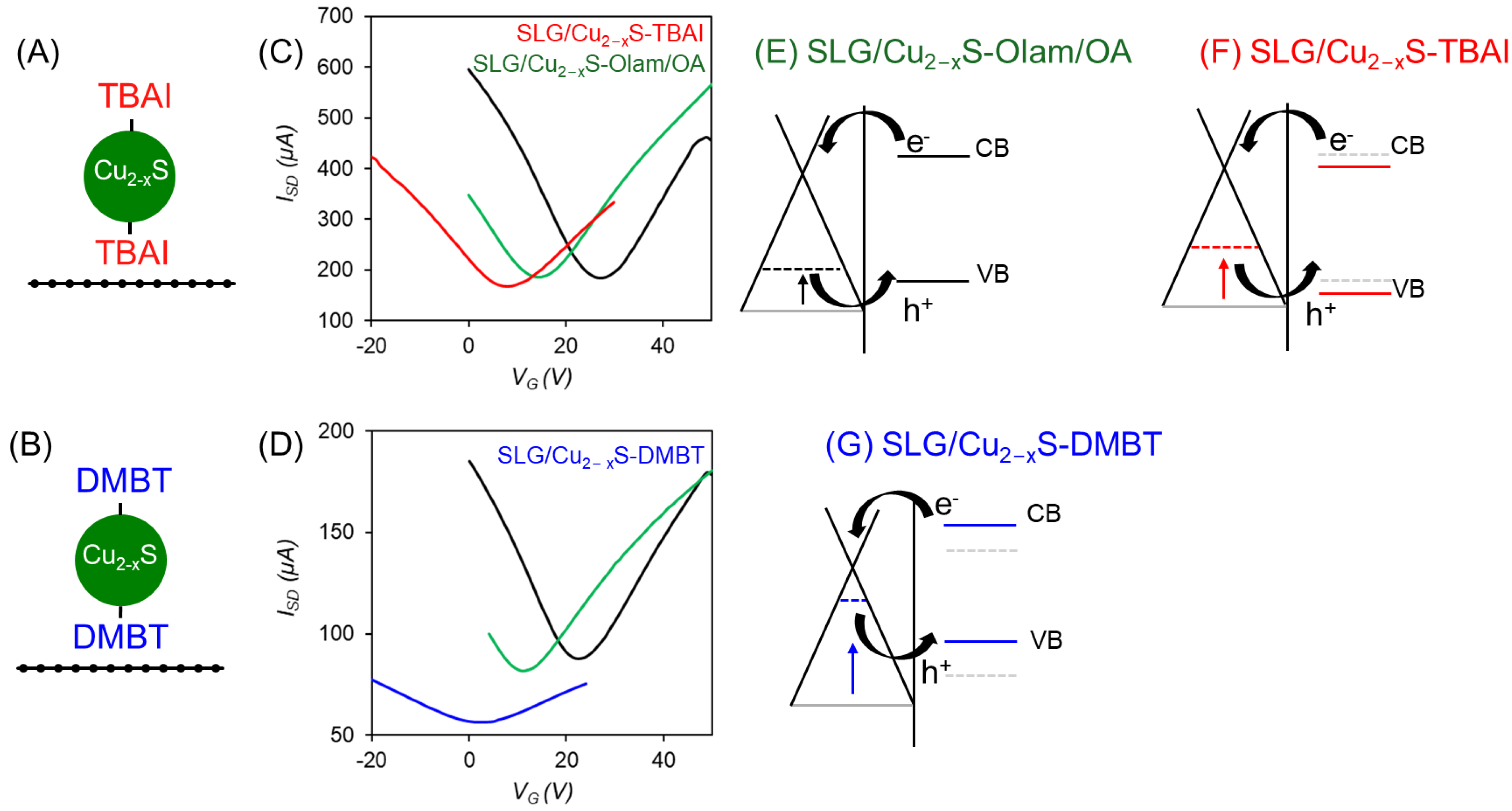 Molecules 30 00067 g004