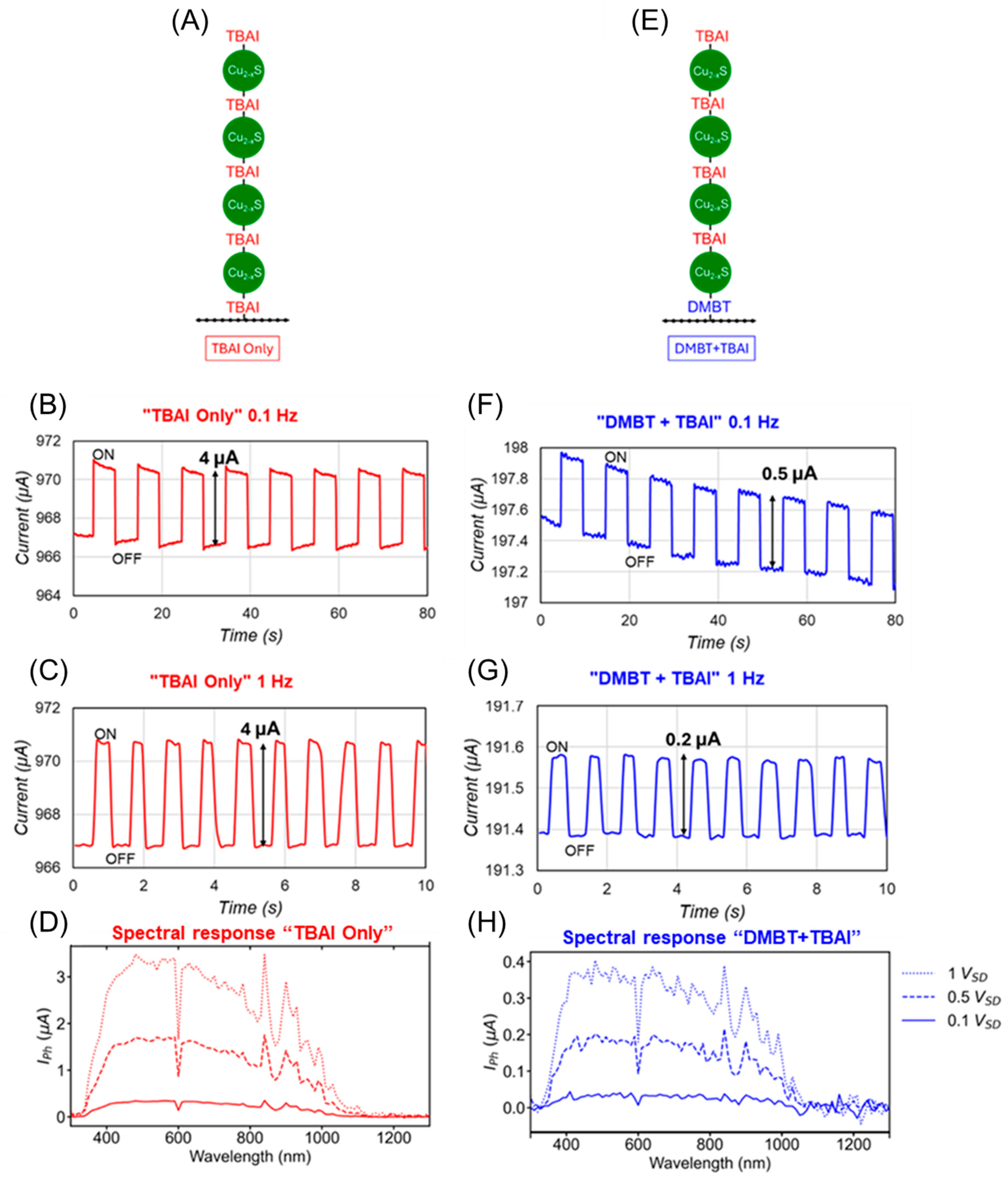 Molecules 30 00067 g005