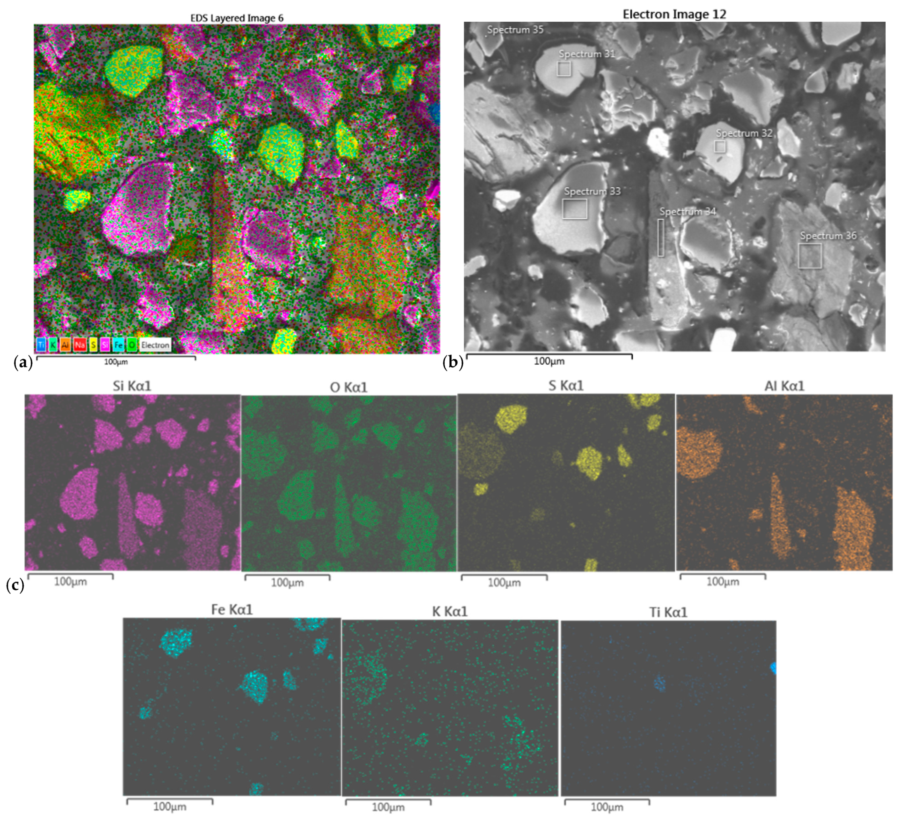 Molecules 30 00069 g008