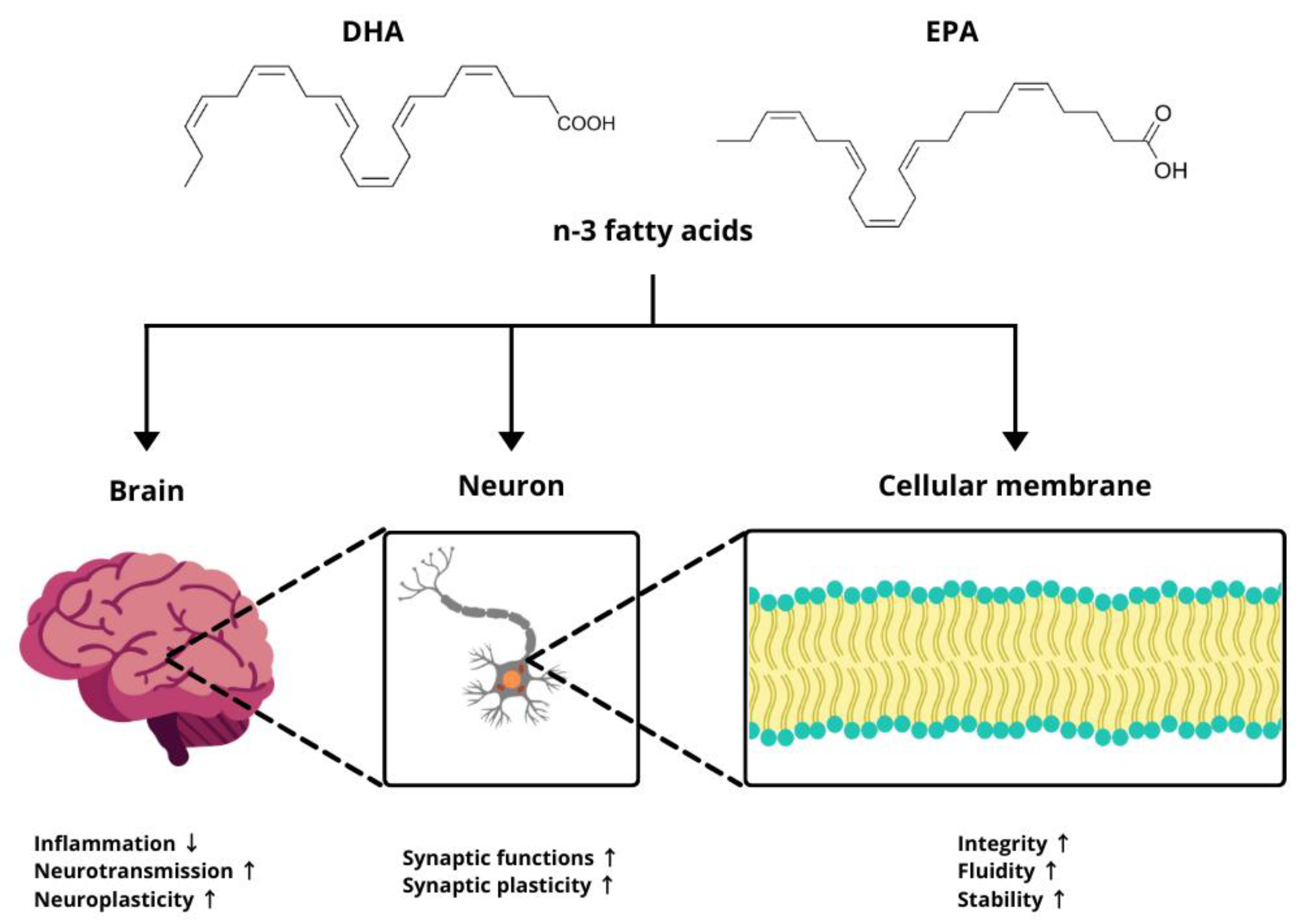Molecules 30 00071 g002