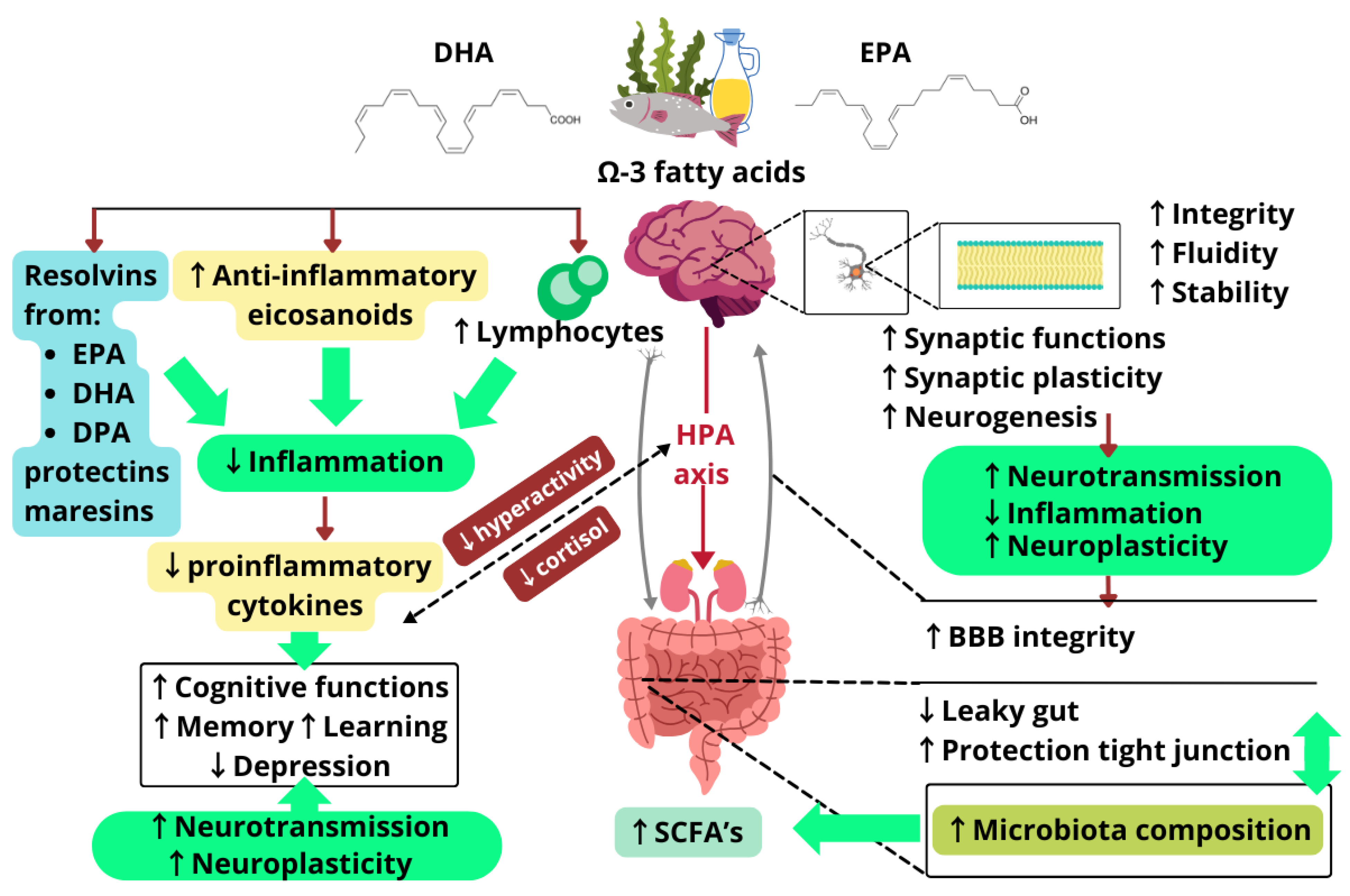 Molecules 30 00071 g004