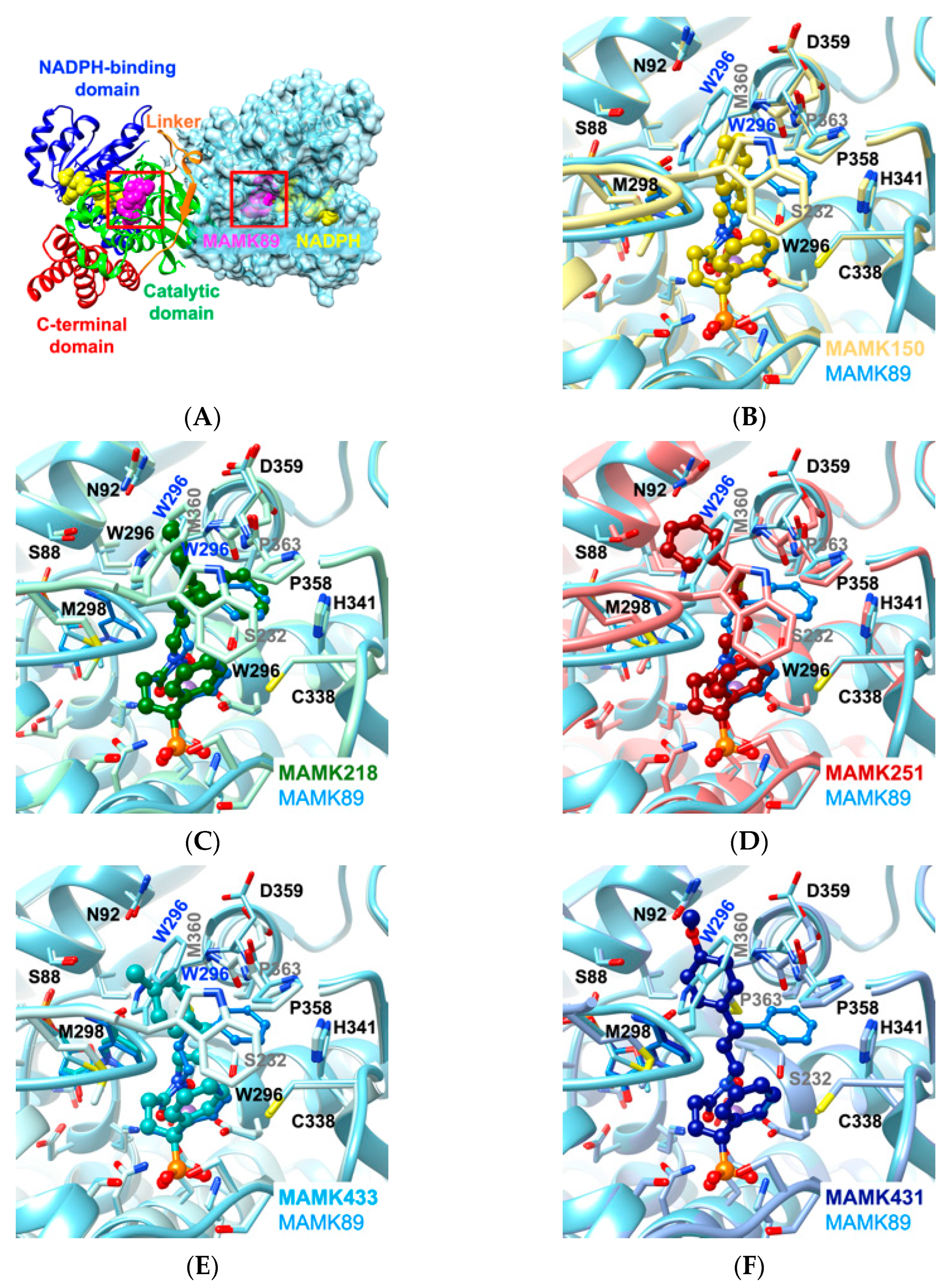 Molecules 30 00072 g002 Molecules 30 00072 g002