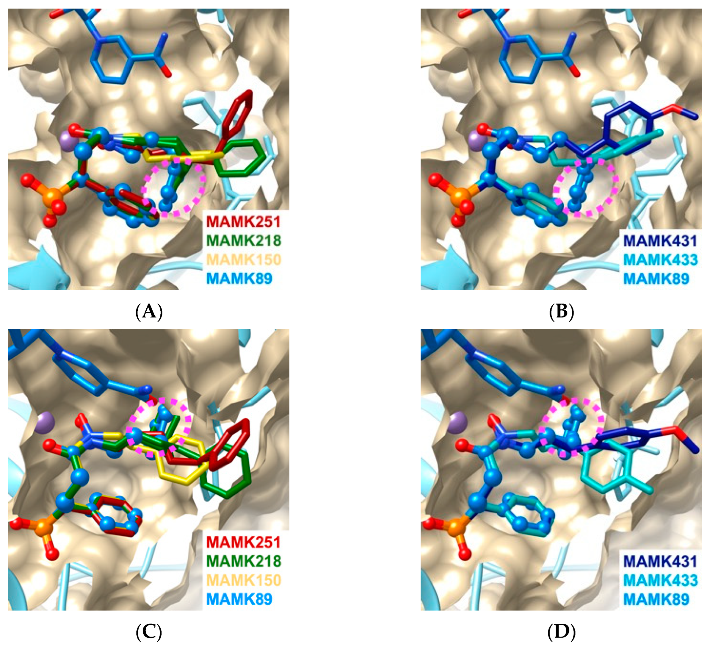 Molecules 30 00072 g003 Molecules 30 00072 g003