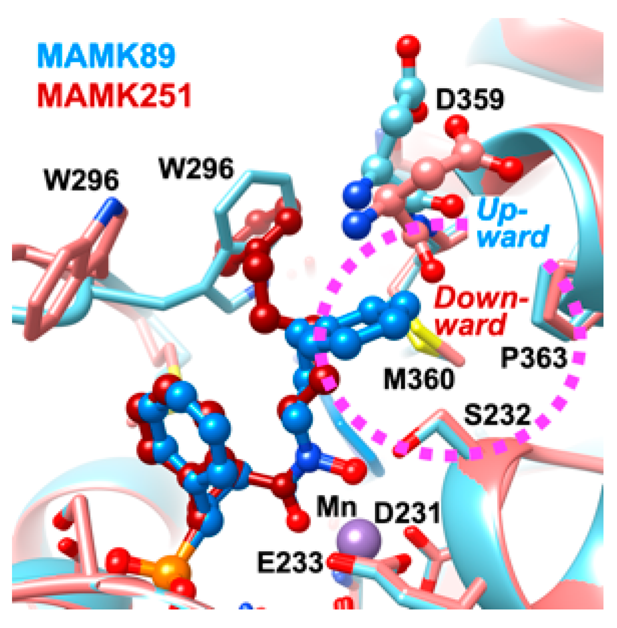 Molecules 30 00072 g005 Molecules 30 00072 g005