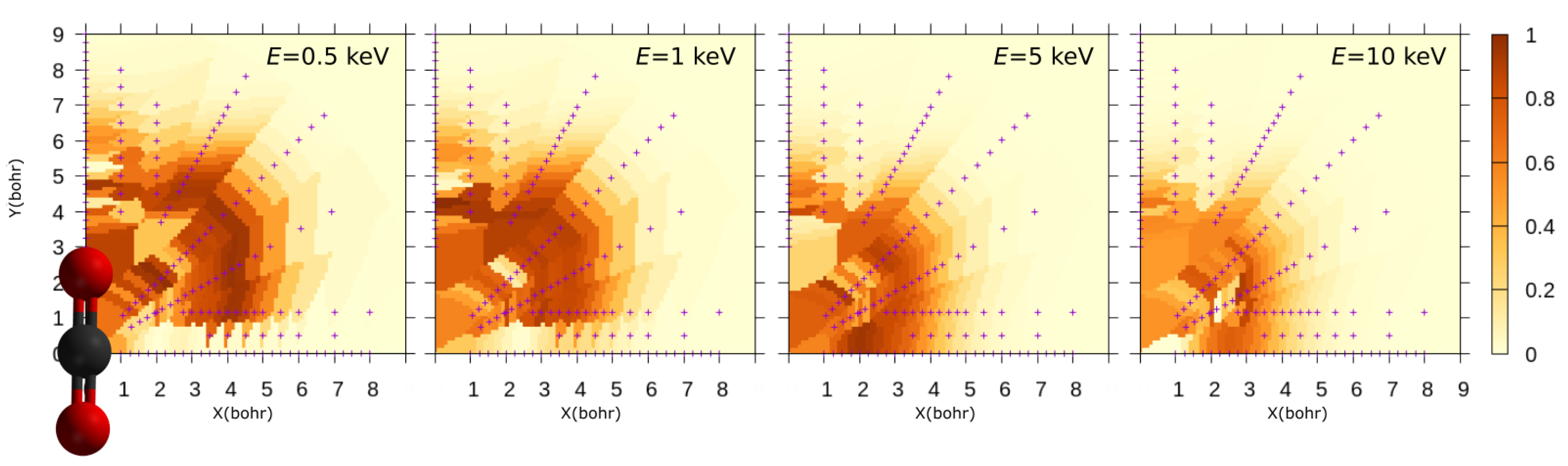 Molecules 30 00074 g006