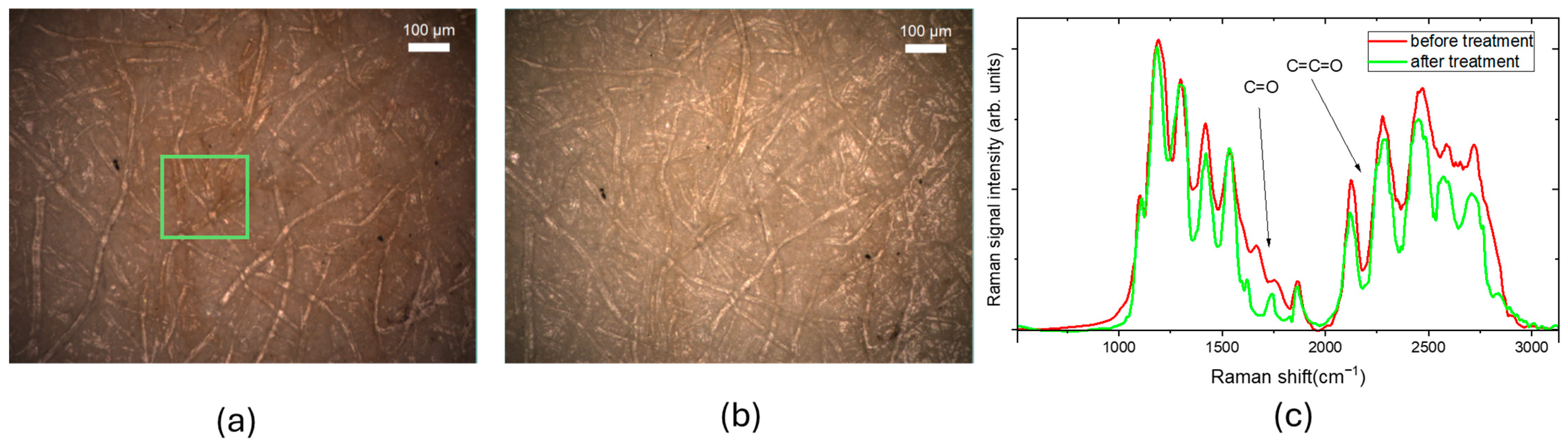 Molecules 30 00075 g001