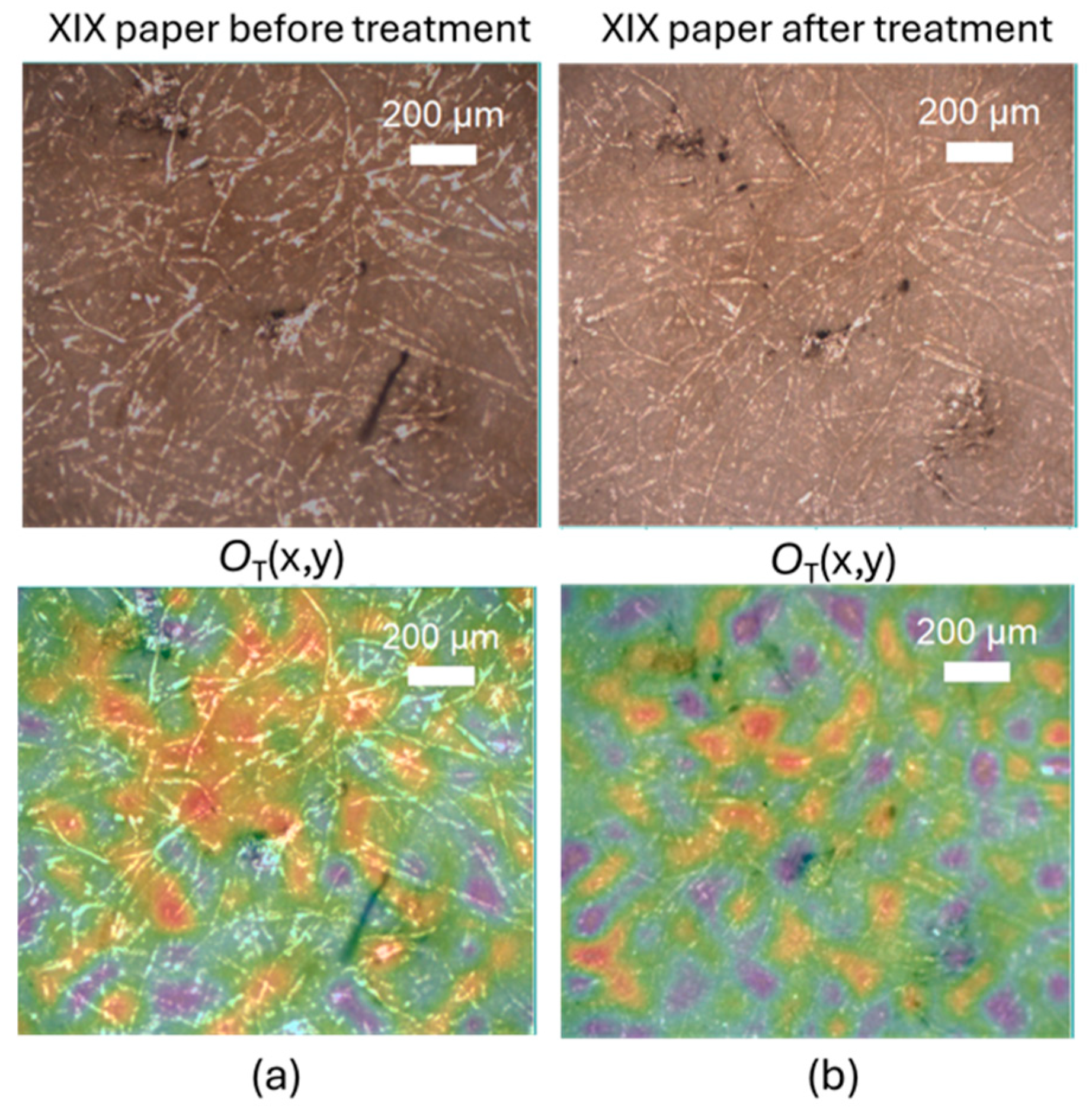 Molecules 30 00075 g002
