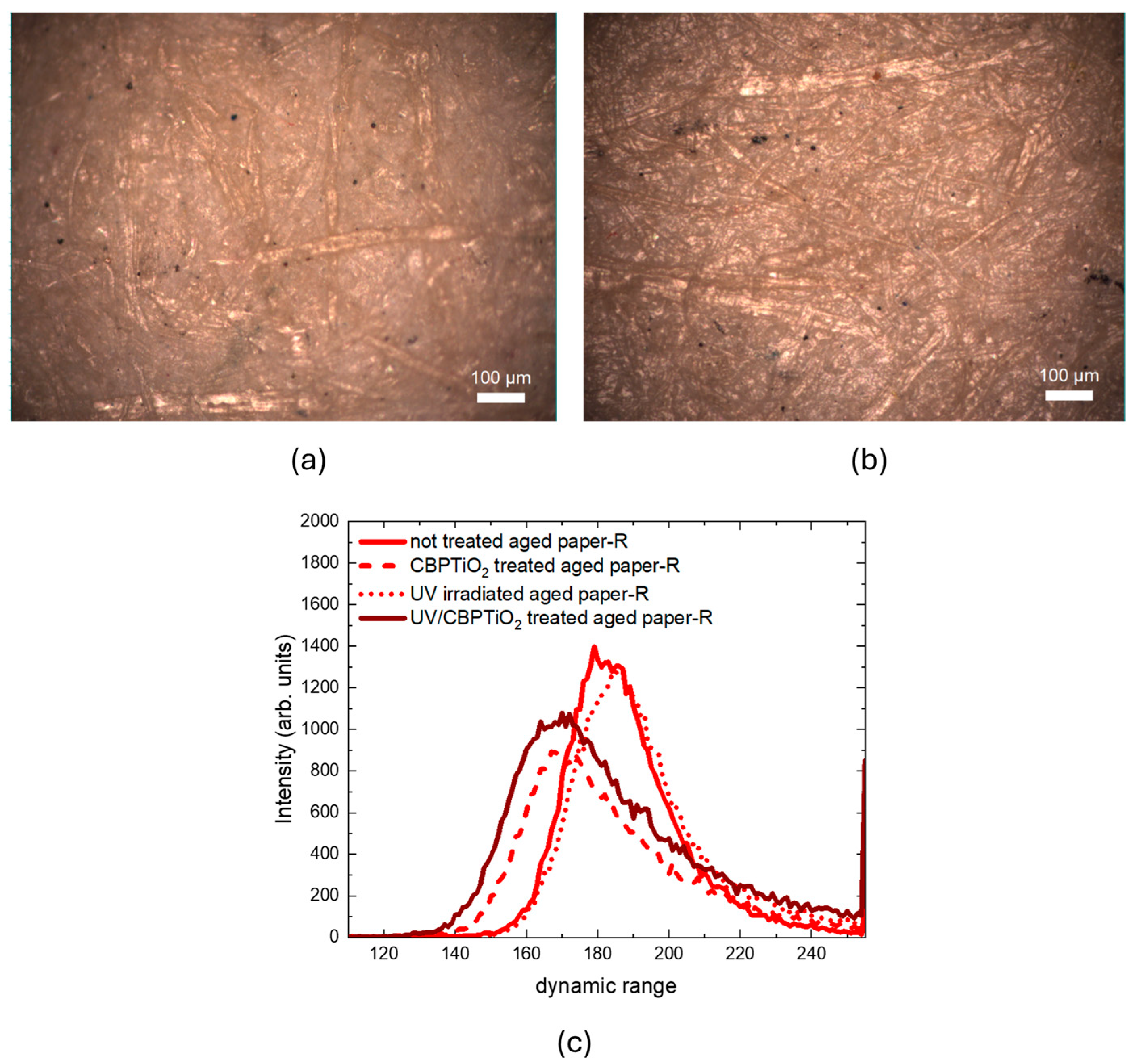 Molecules 30 00075 g011