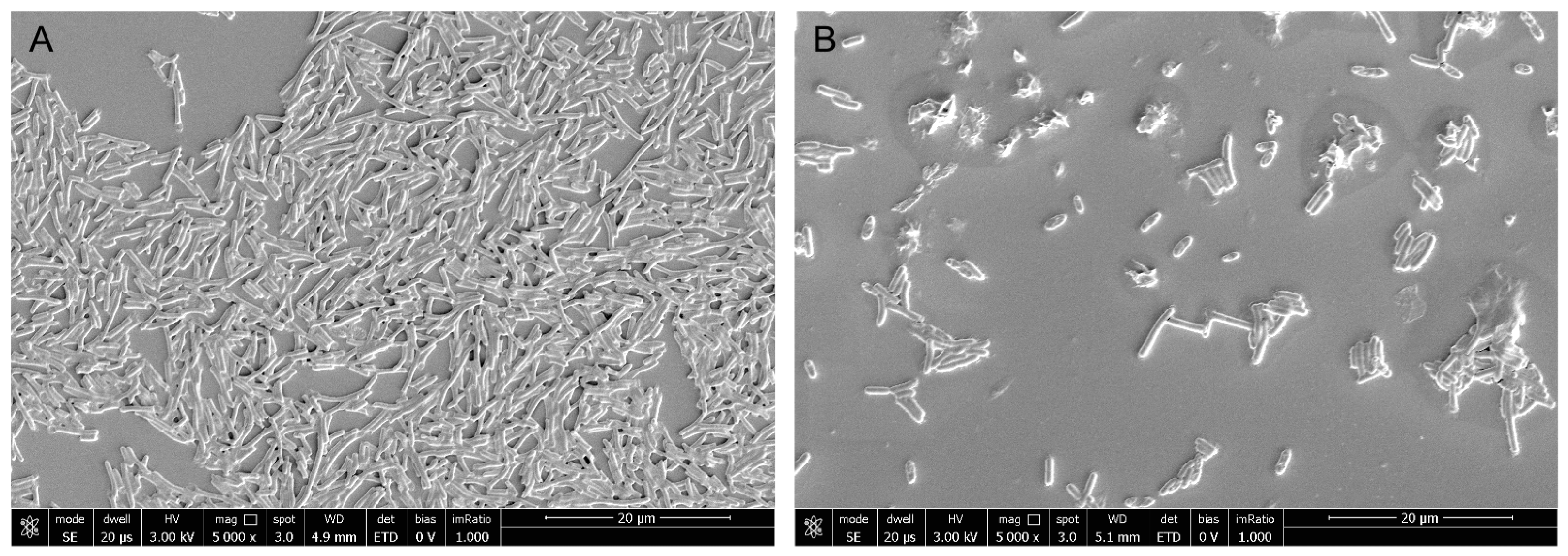 Molecules 30 00076 g006
