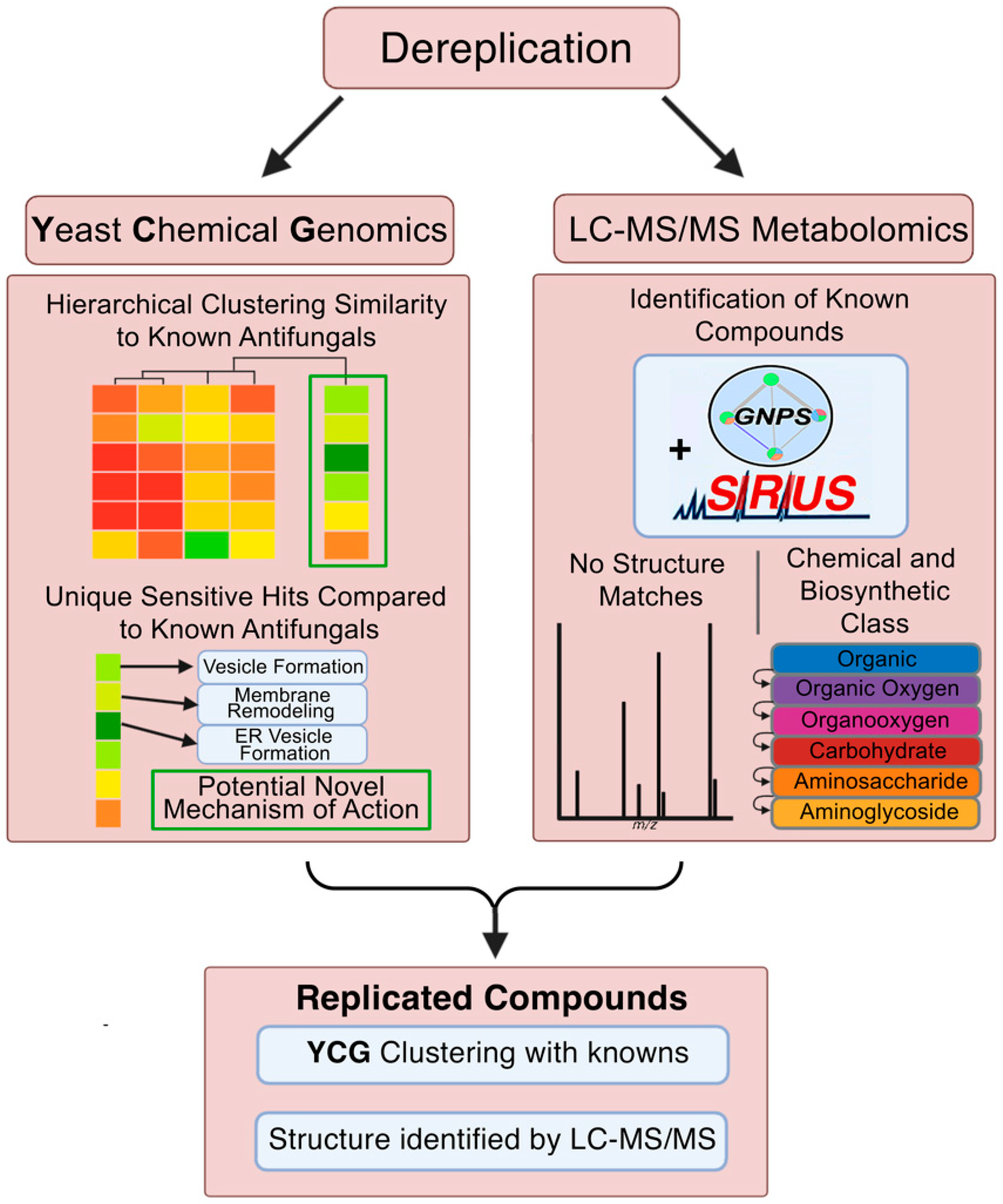 Molecules 30 00077 g001