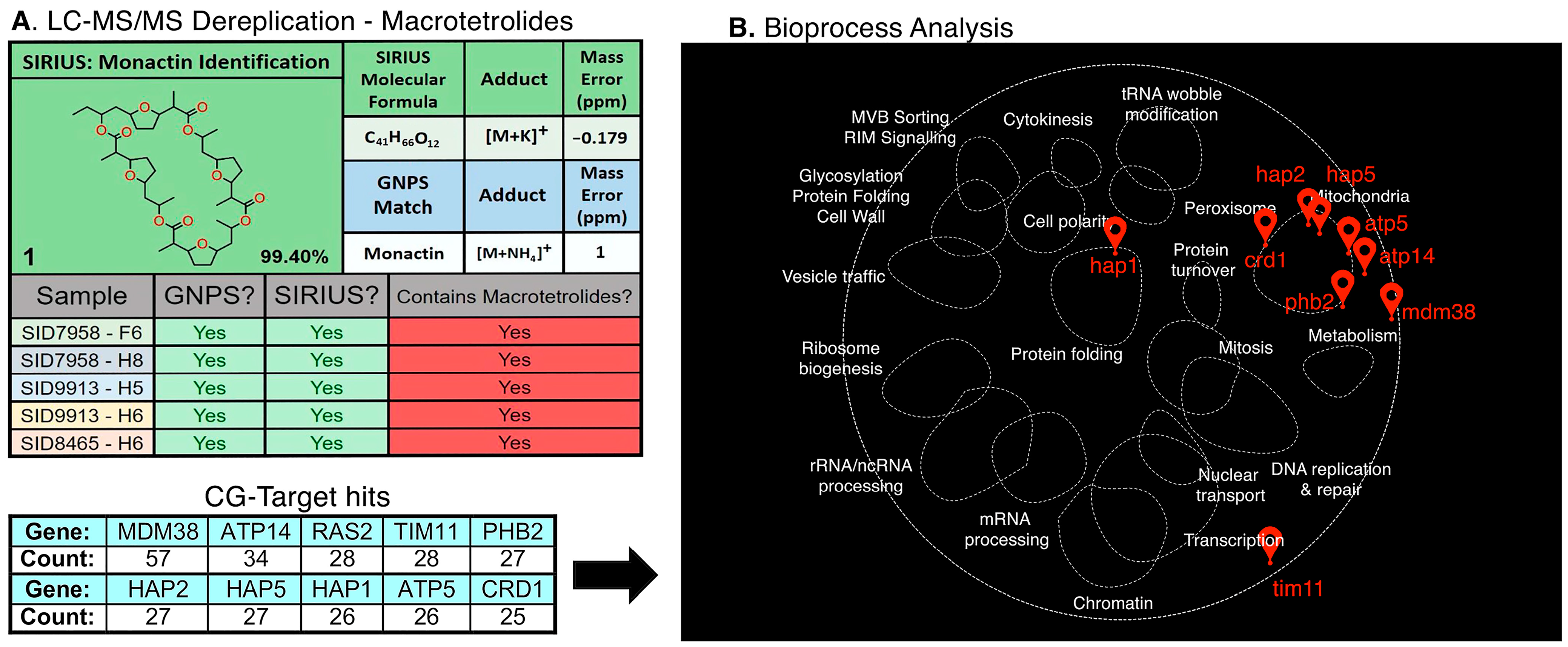 Molecules 30 00077 g003