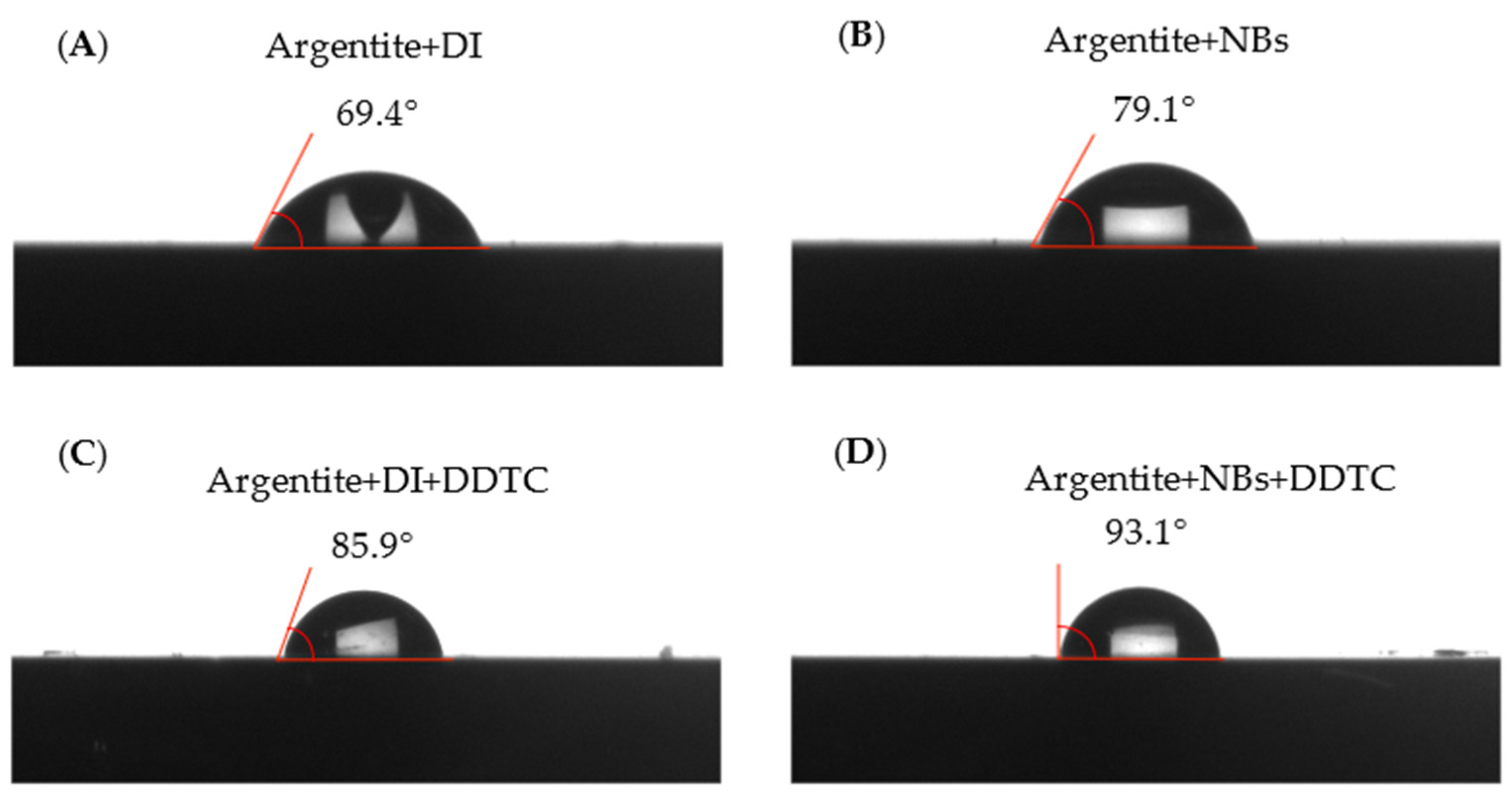Molecules 30 00079 g013