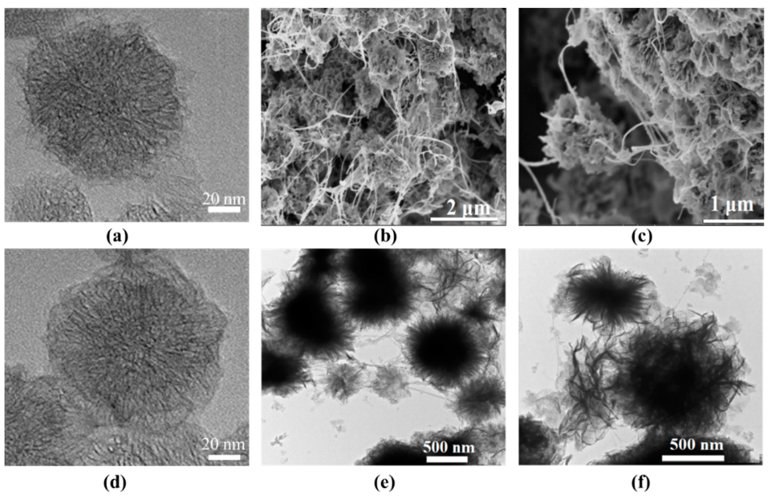 Molecules 30 00080 g001