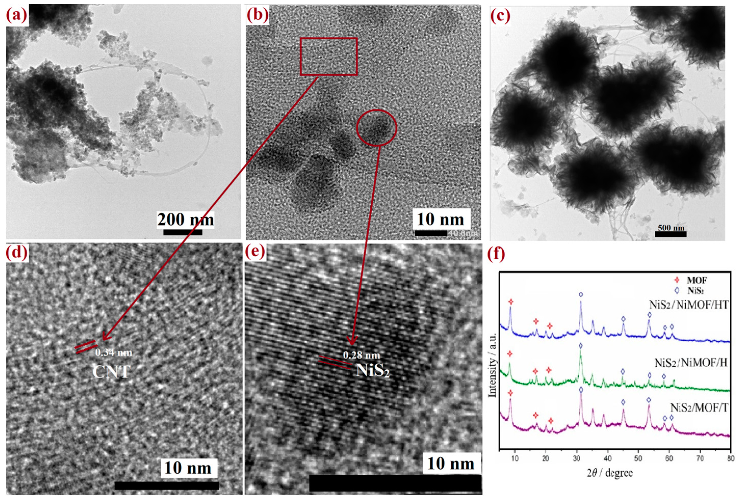 Molecules 30 00080 g005