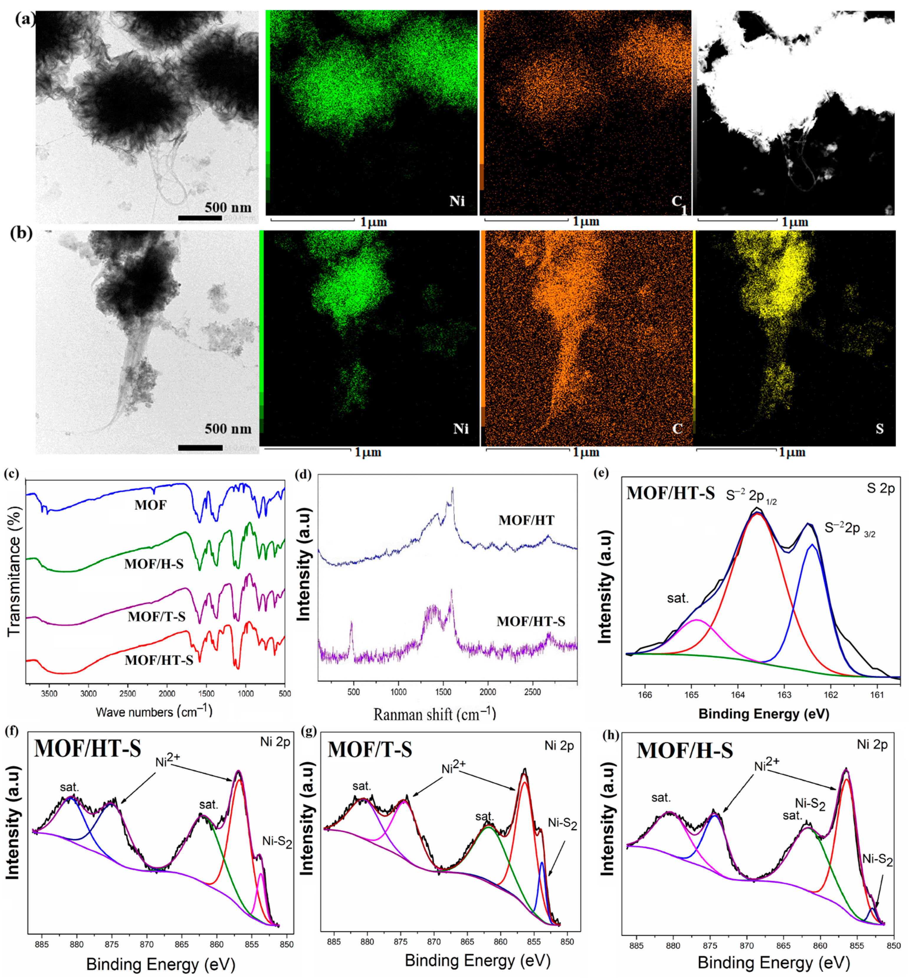 Molecules 30 00080 g006