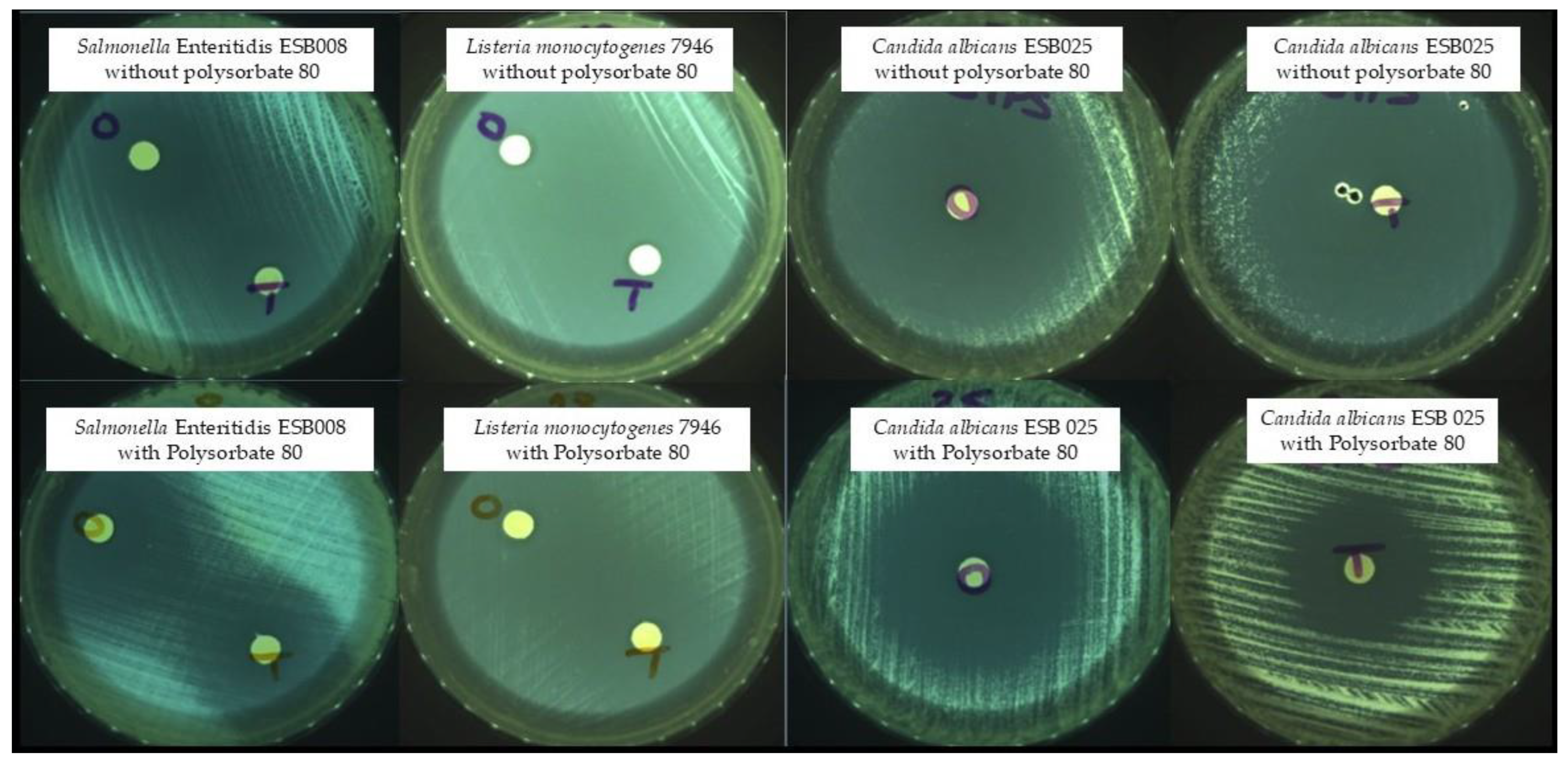 Molecules 30 00081 g001