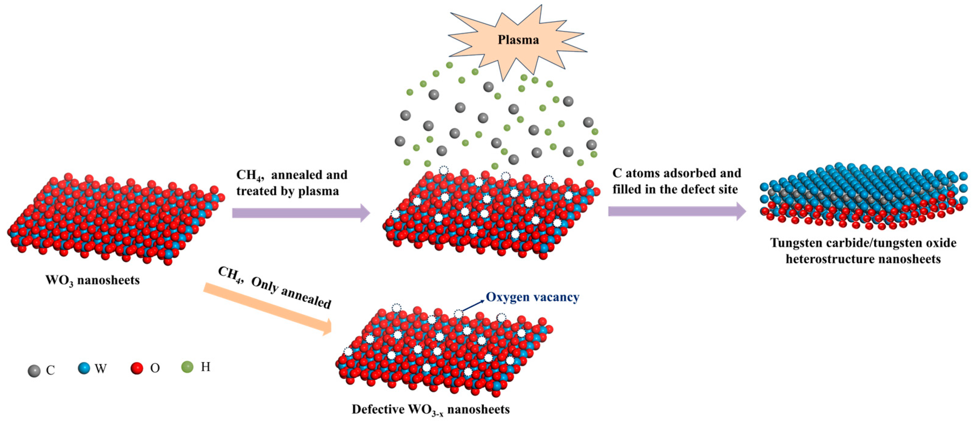 Molecules 30 00084 g001