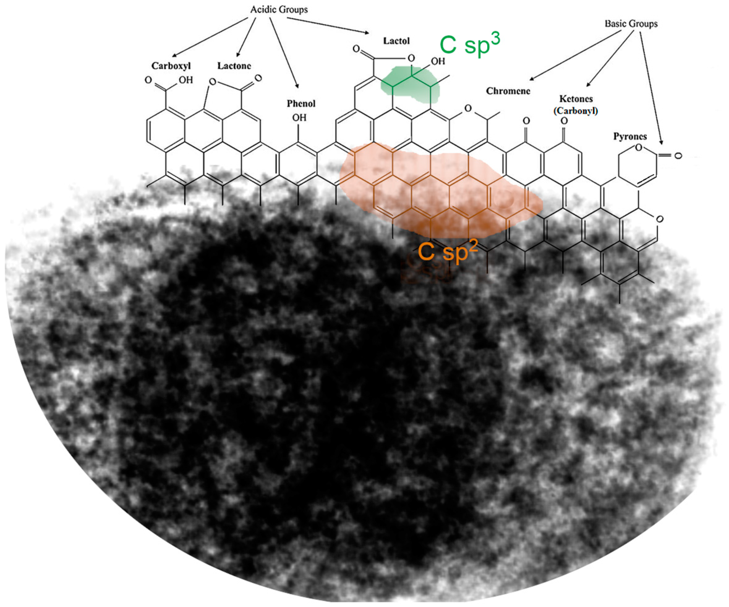 Molecules 30 00088 g004