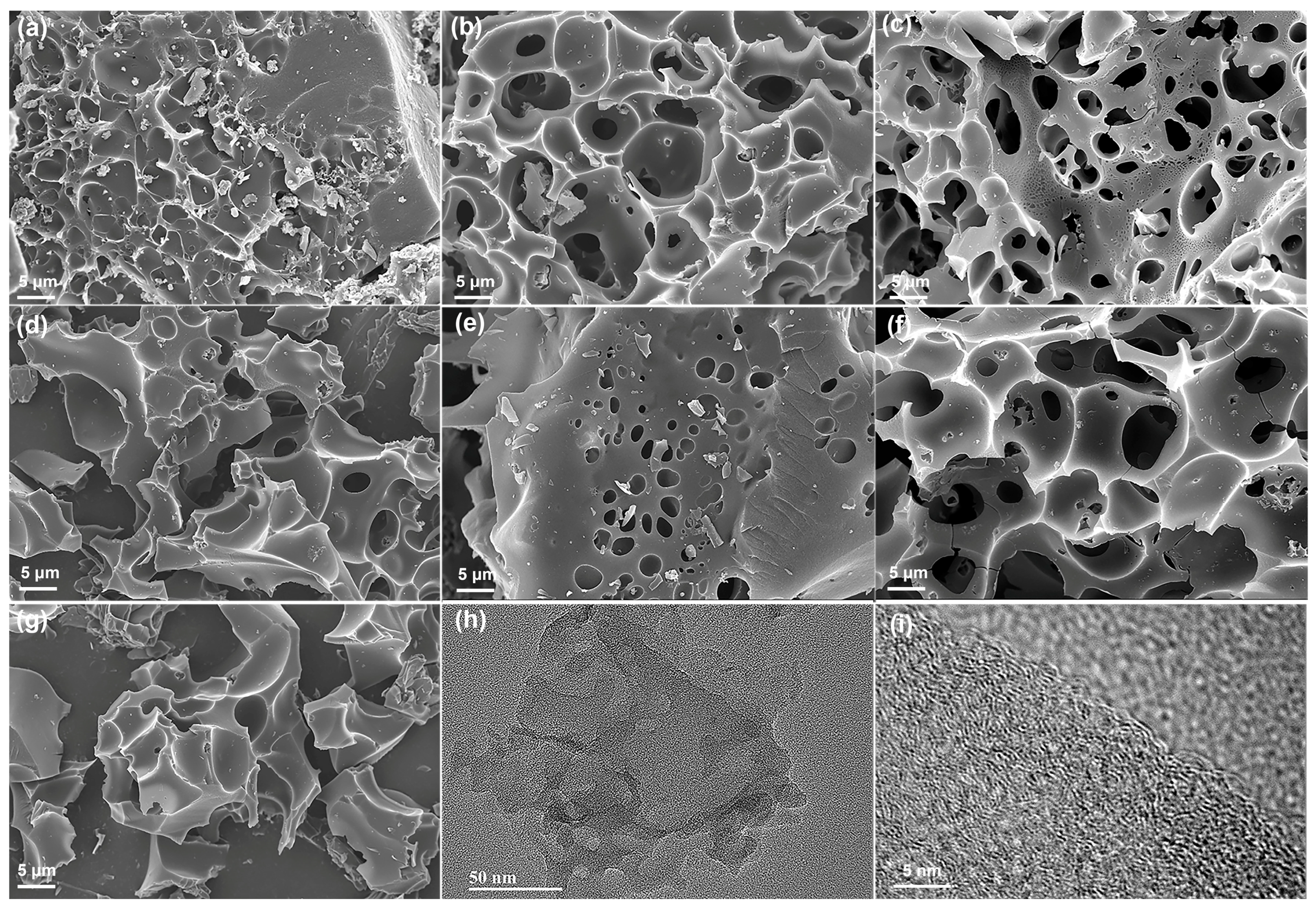 Molecules 30 00089 g001