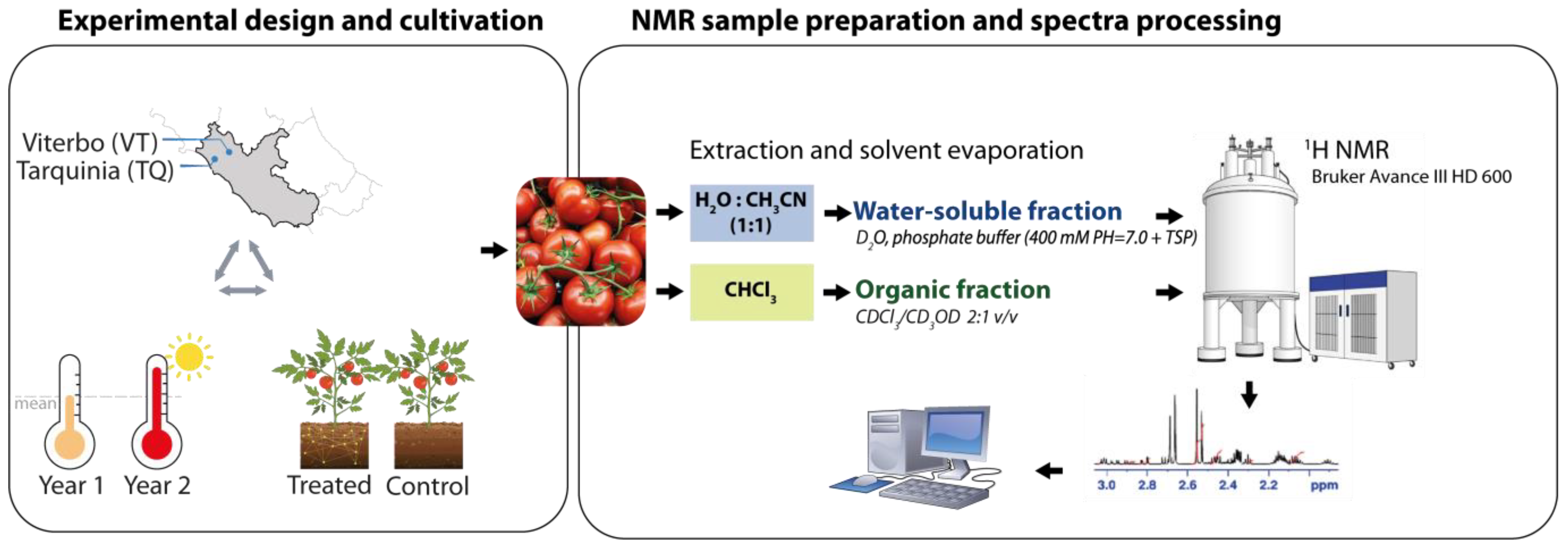 Molecules 30 00097 g001