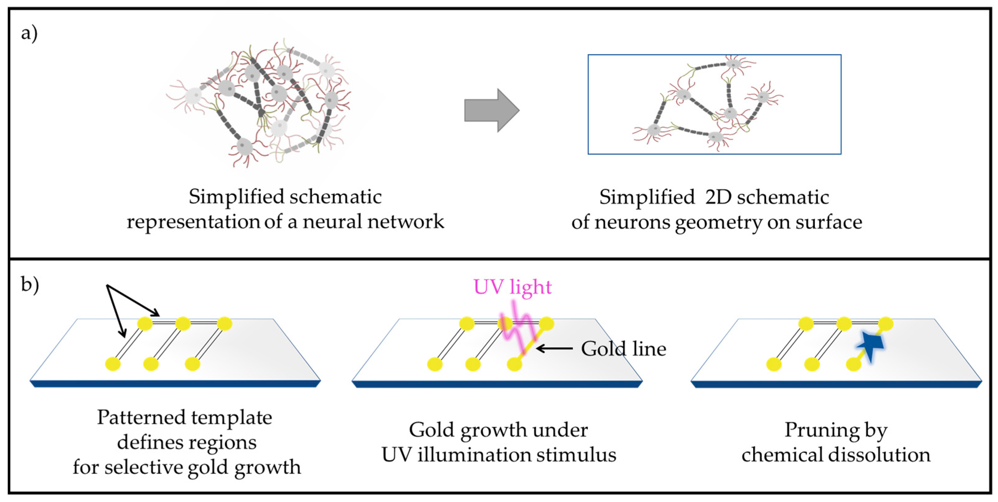 Molecules 30 00099 g001
