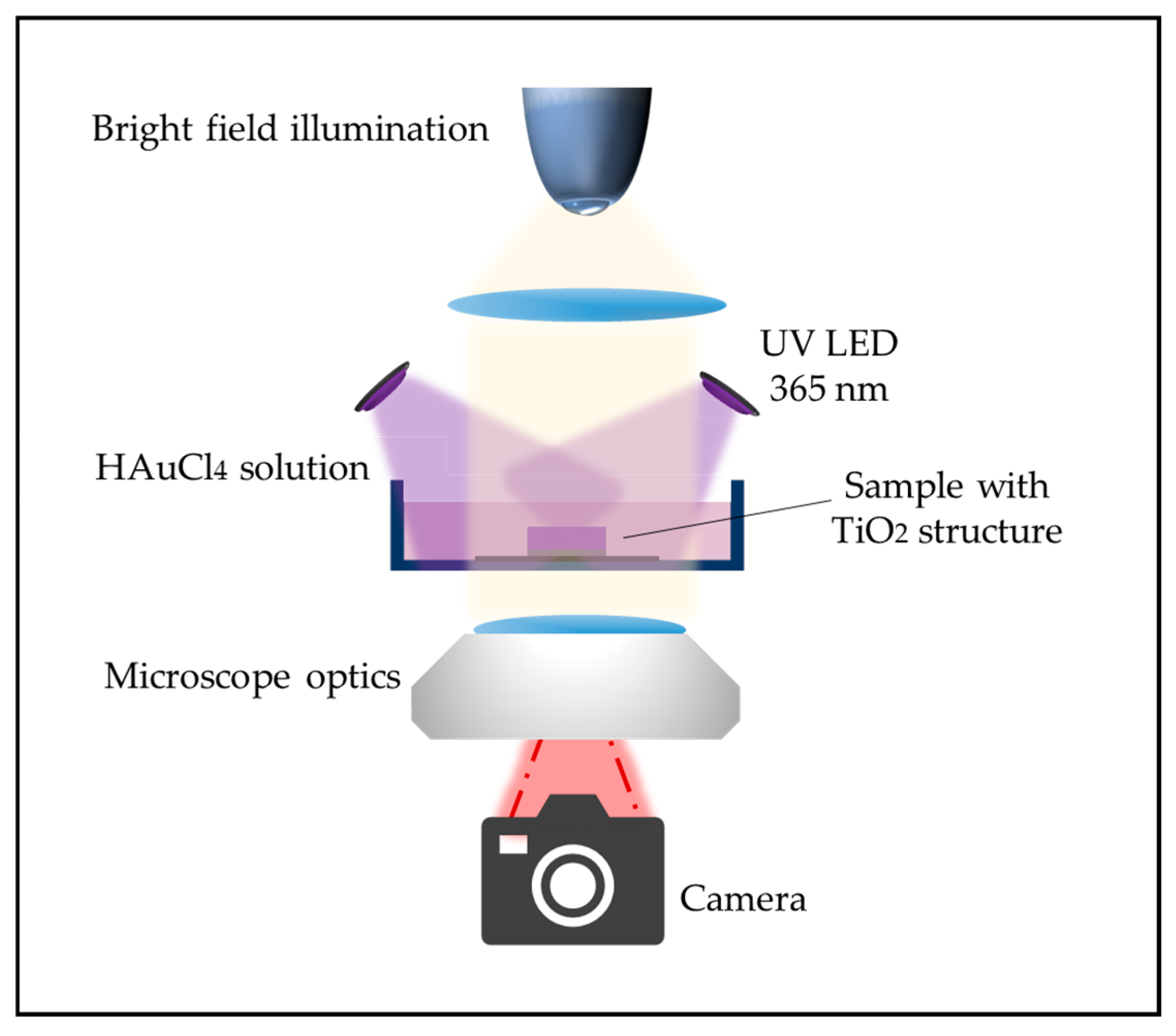 Molecules 30 00099 g007