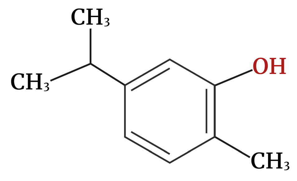 Molecules 30 00104 g001
