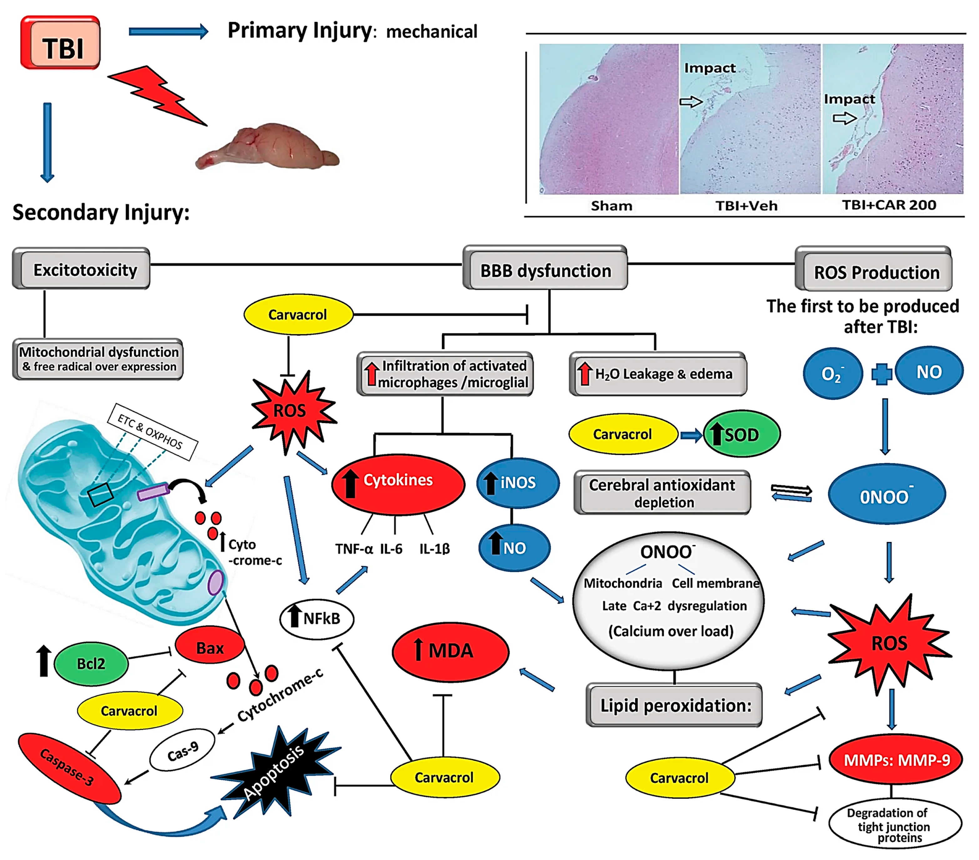 Molecules 30 00104 g002