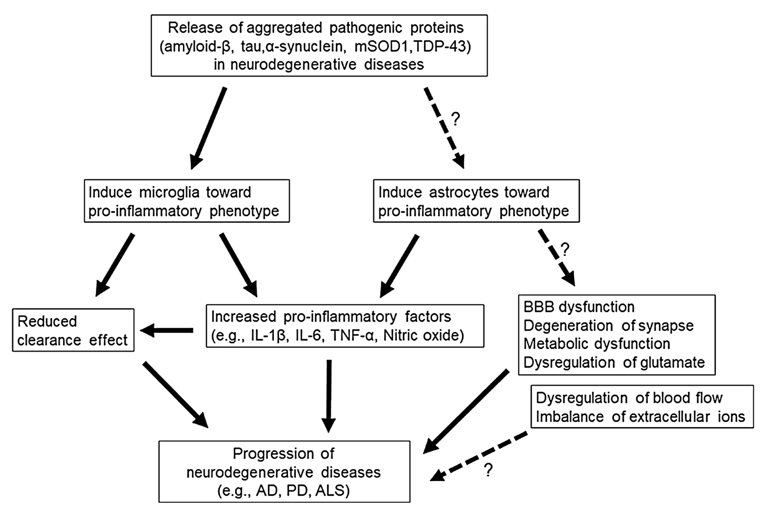 Molecules 30 00104 g003