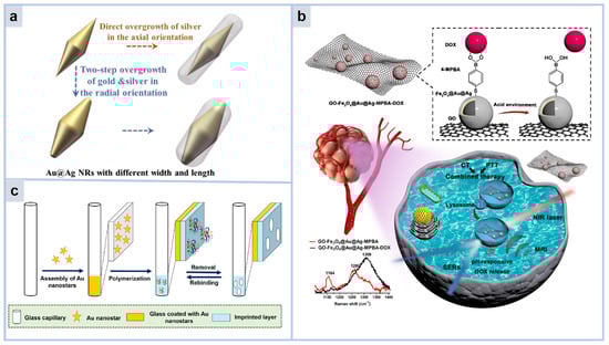 Molecules 30 00105 g005