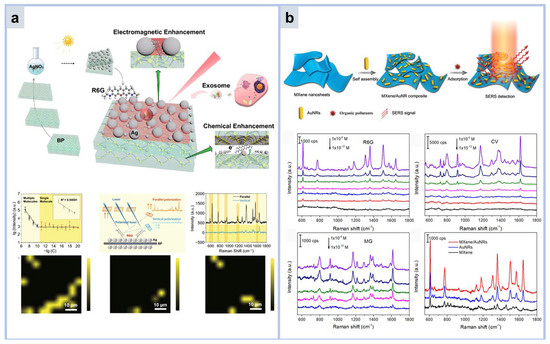 Molecules 30 00105 g009