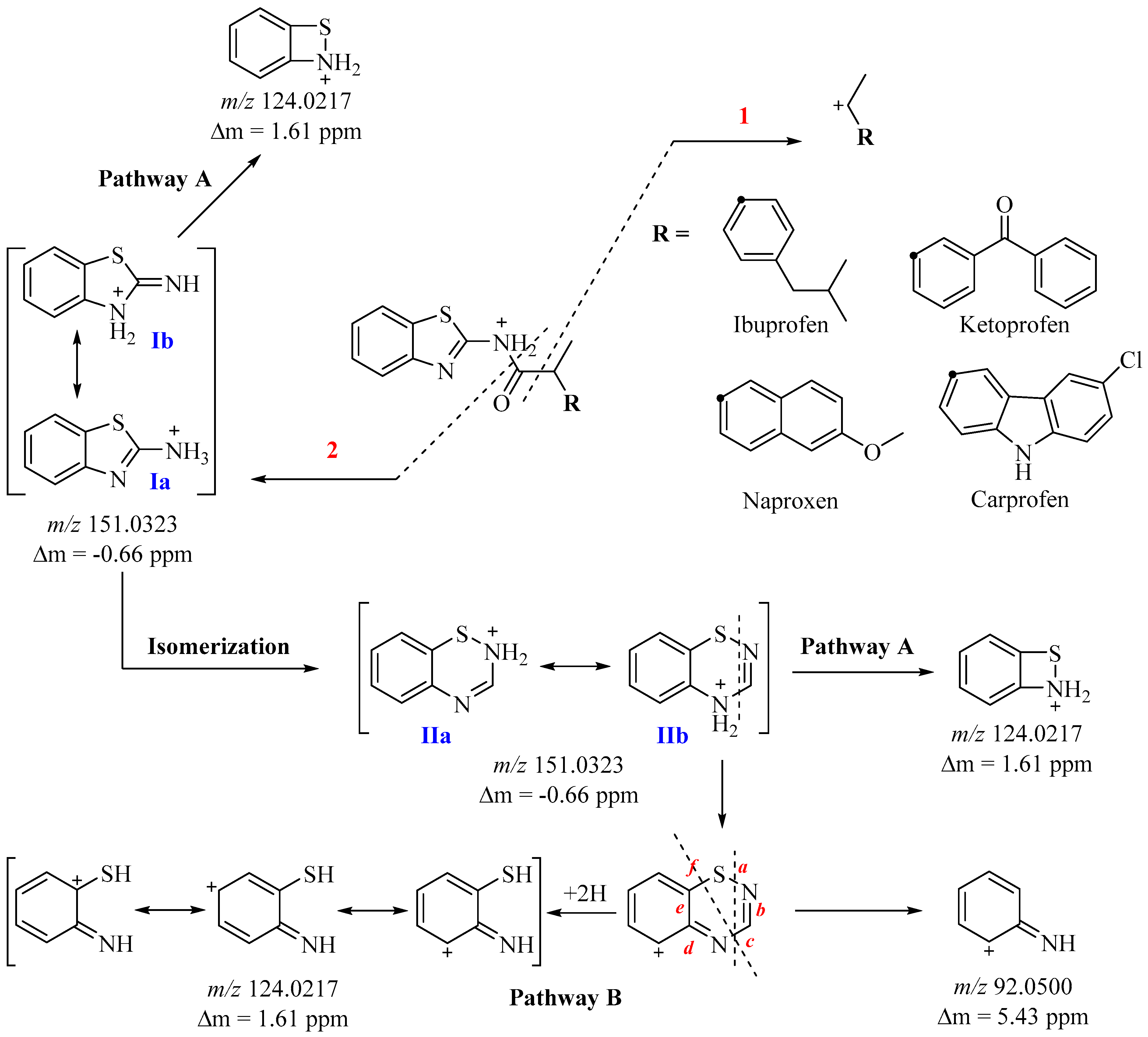 Molecules 30 00107 sch002