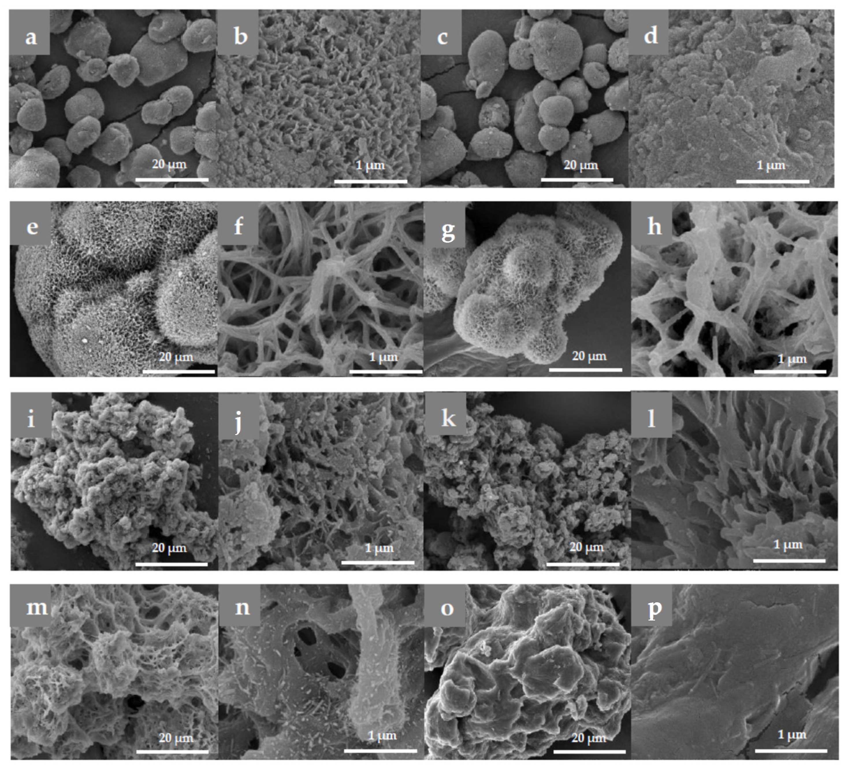 Molecules 30 00114 g001