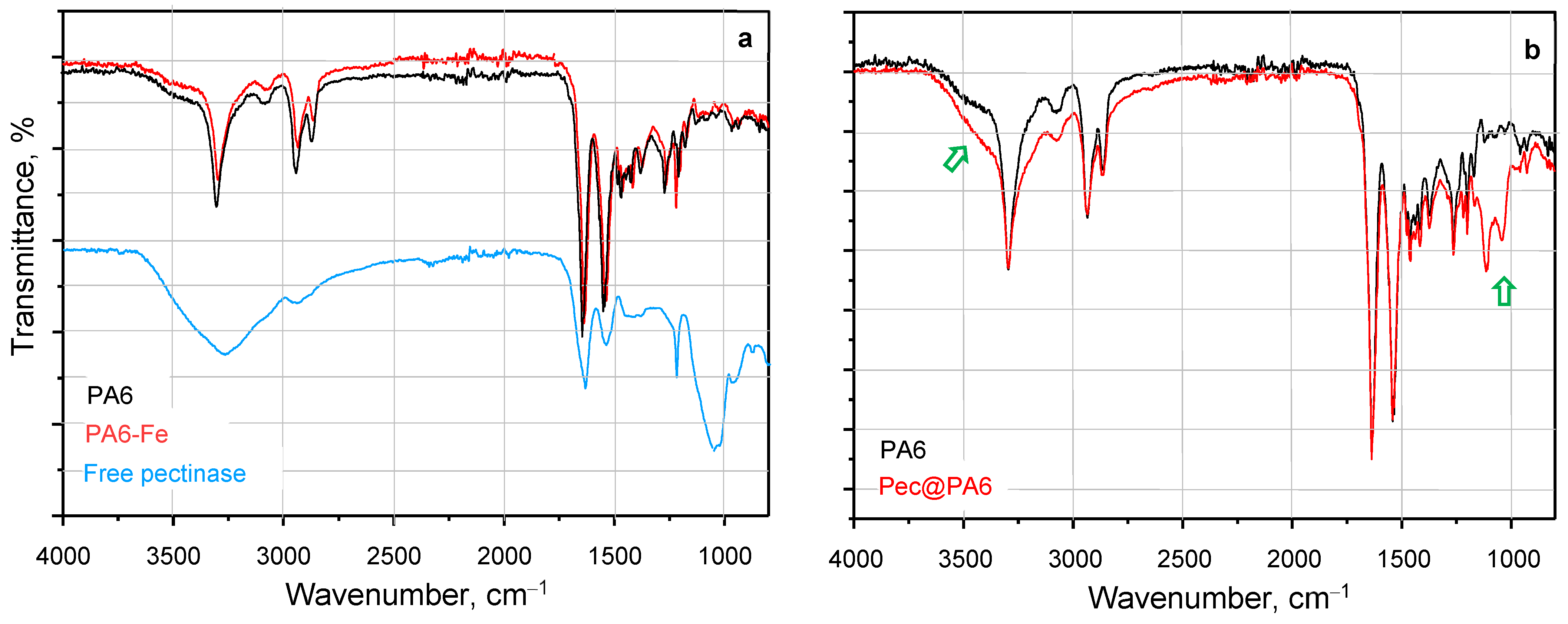 Molecules 30 00114 g003