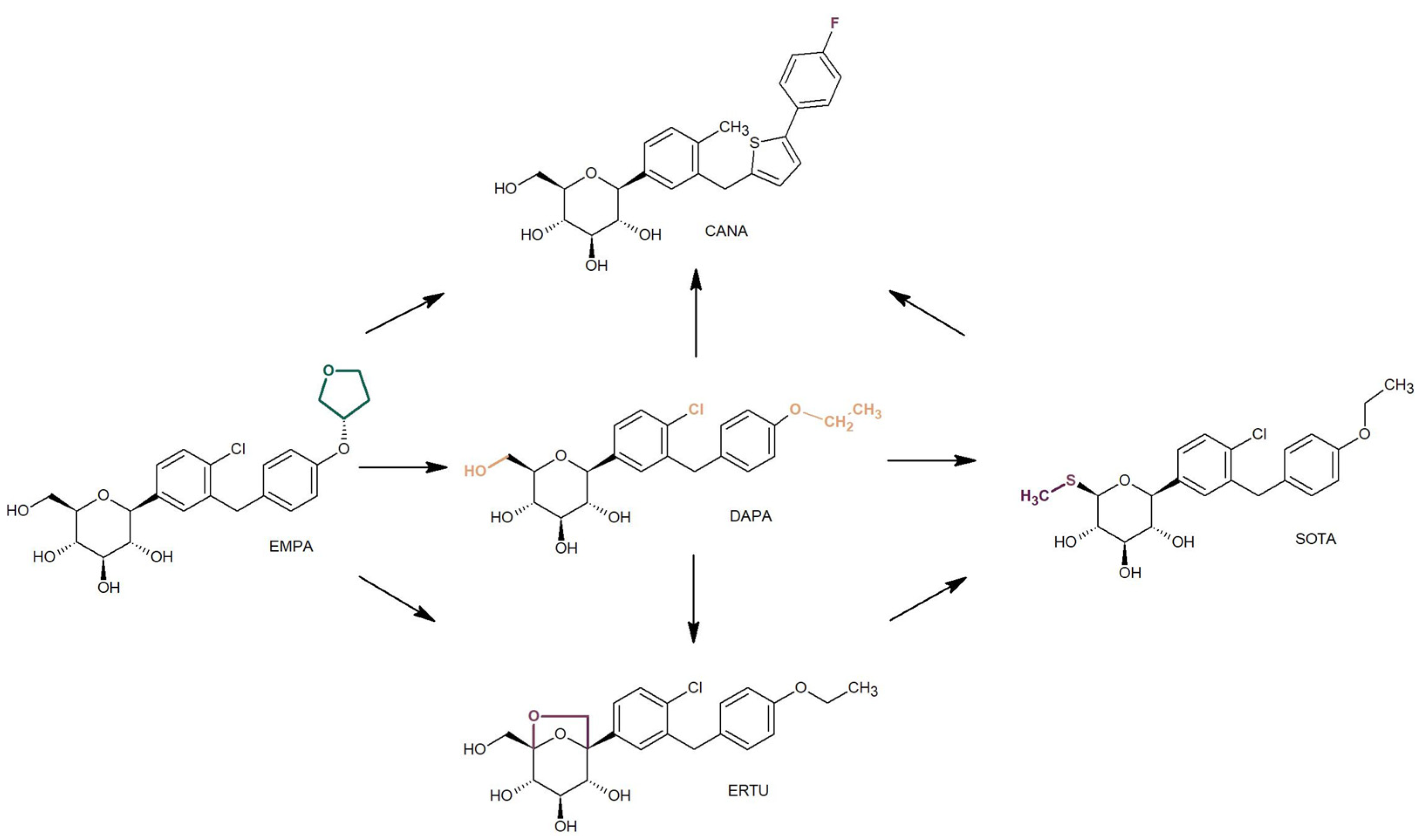 Molecules 30 00115 g004