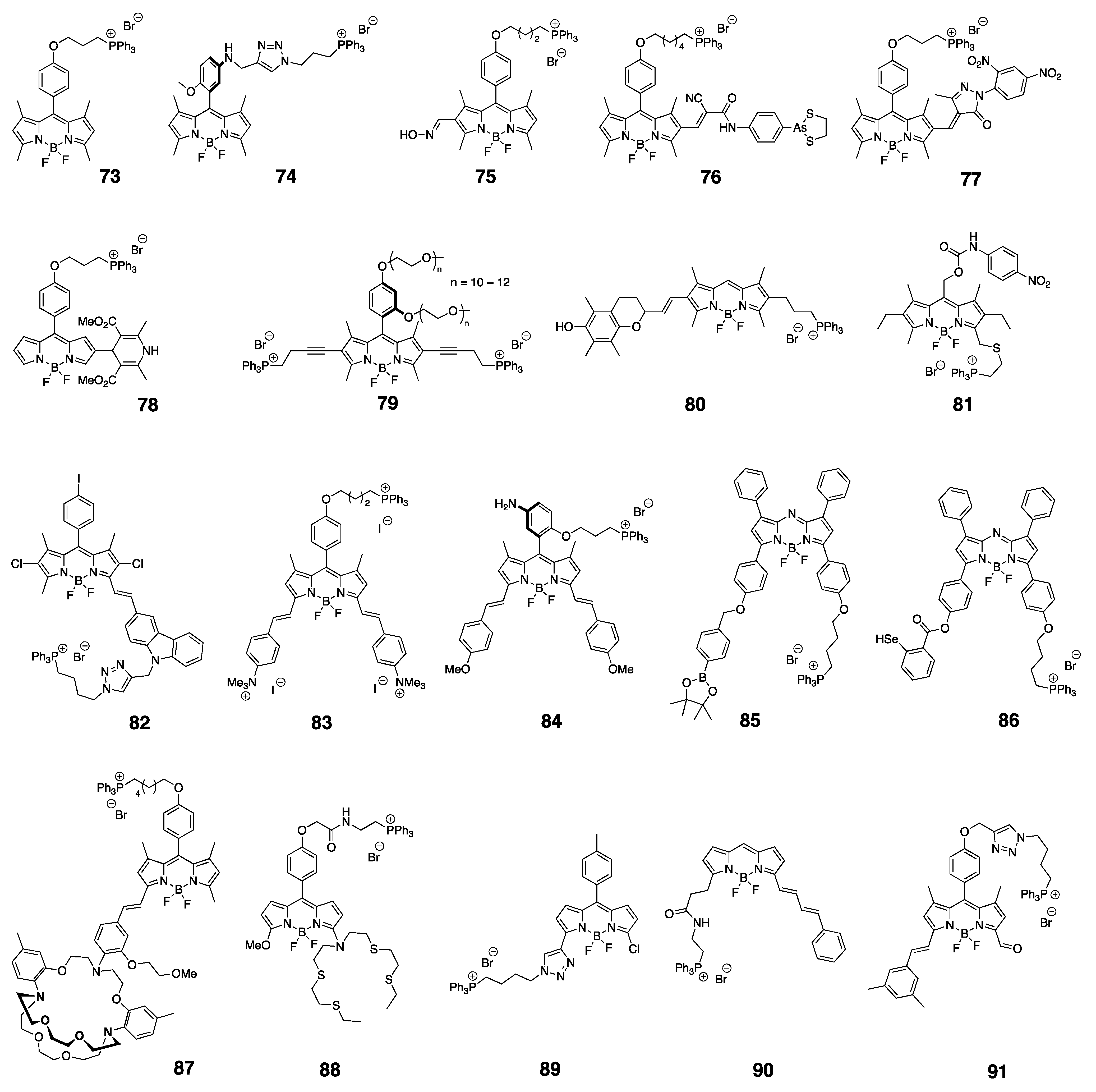 Molecules 30 00116 g005