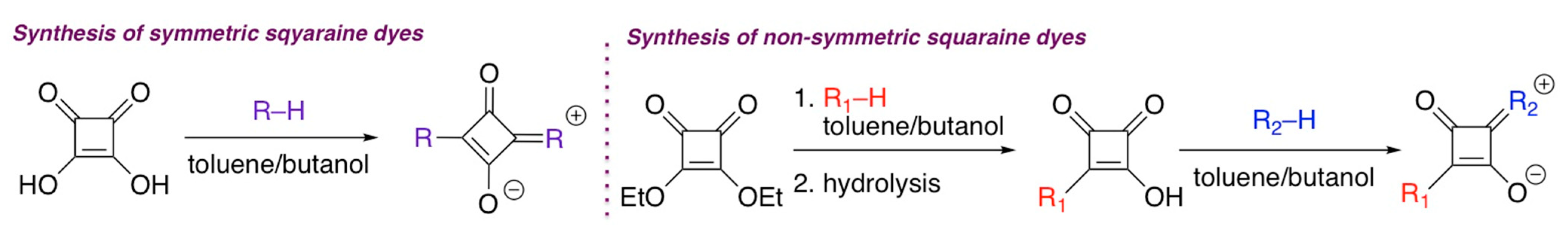 Molecules 30 00116 sch002