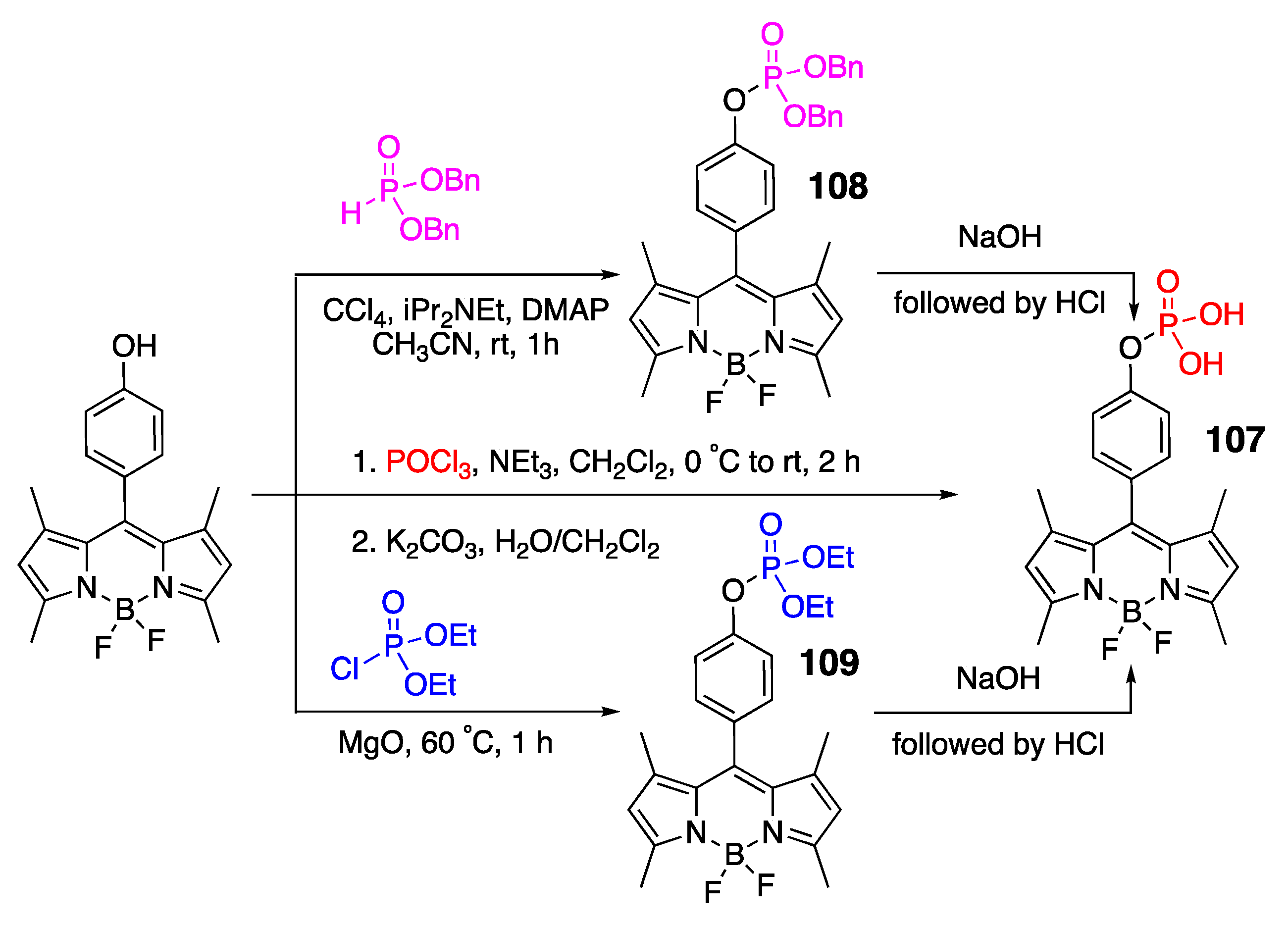 Molecules 30 00116 sch031